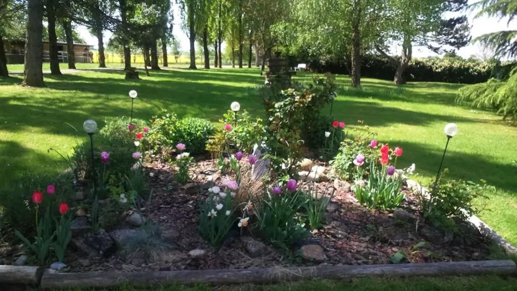 L’allée des peupliers