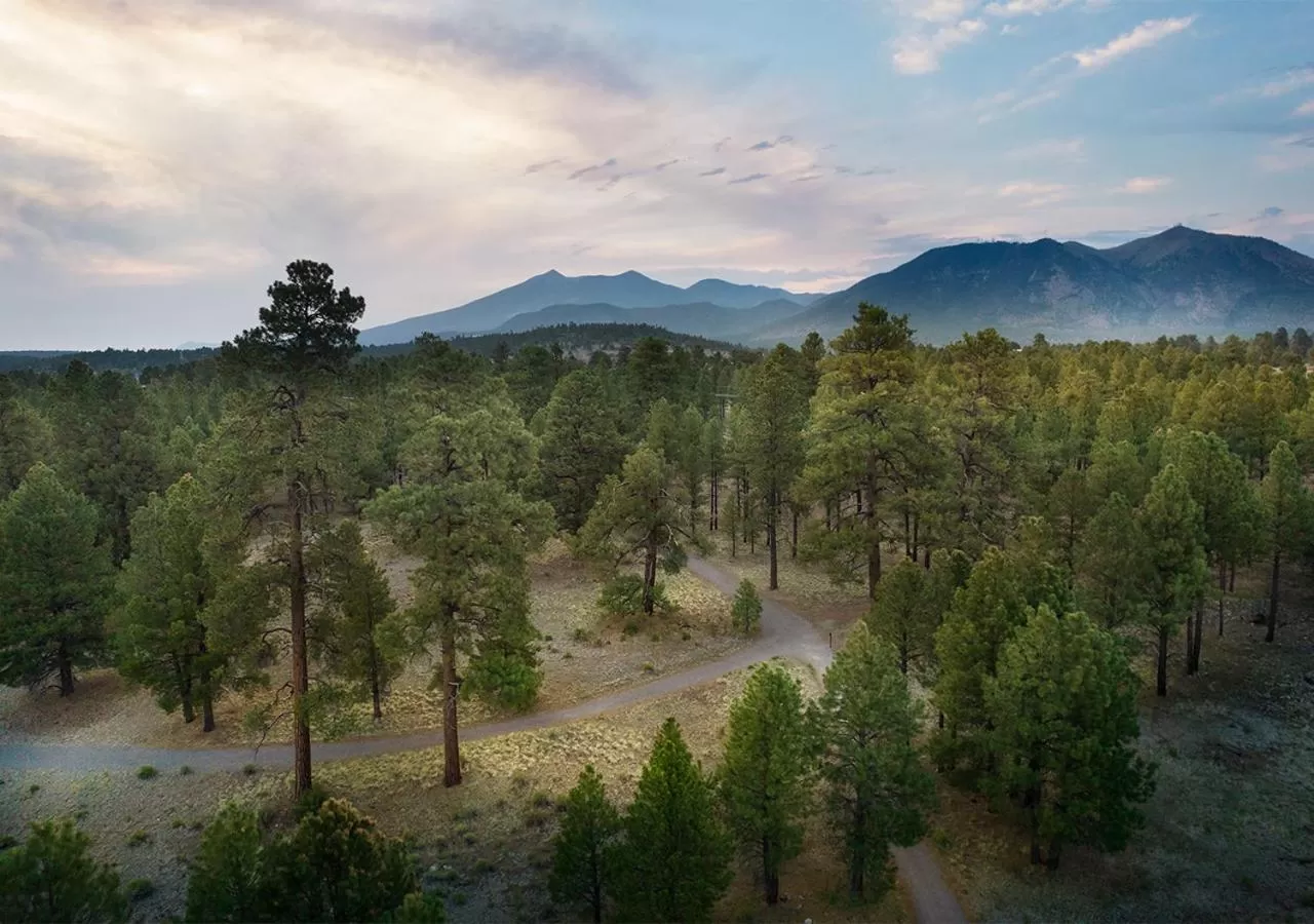 Natural landscape in Little America Hotel Flagstaff
