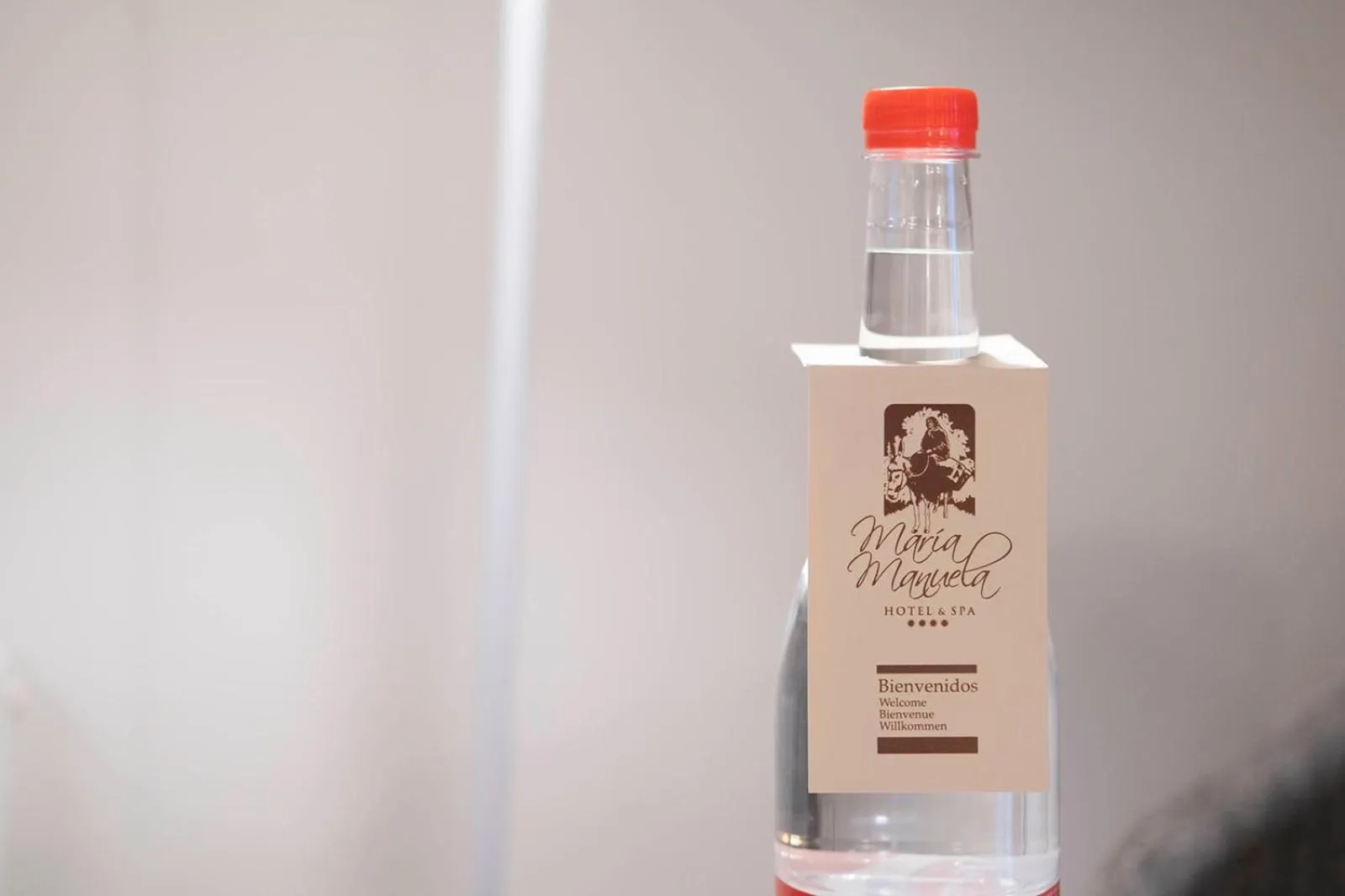 Hotel & Spa María Manuela