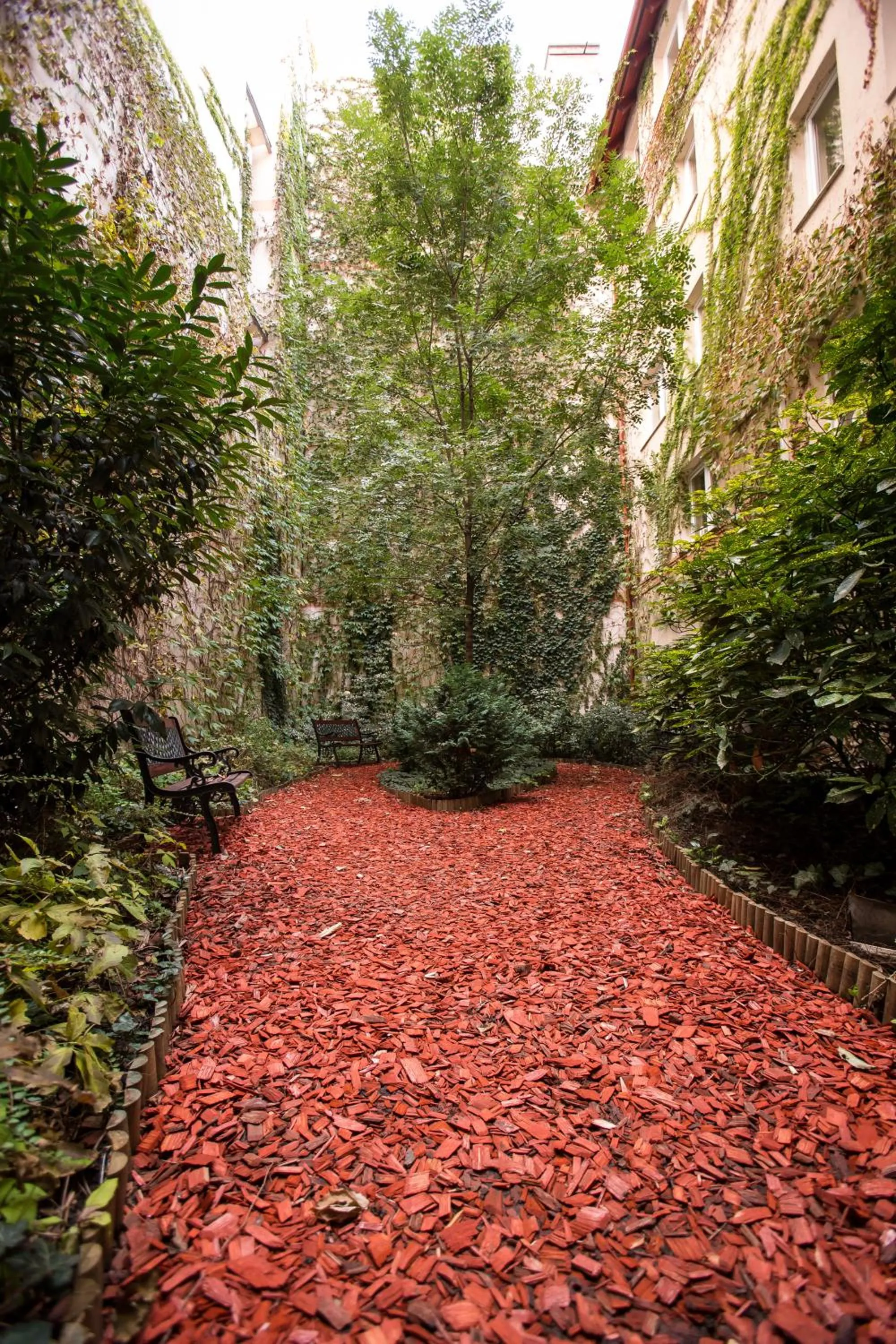 Garden in City Home Budapest