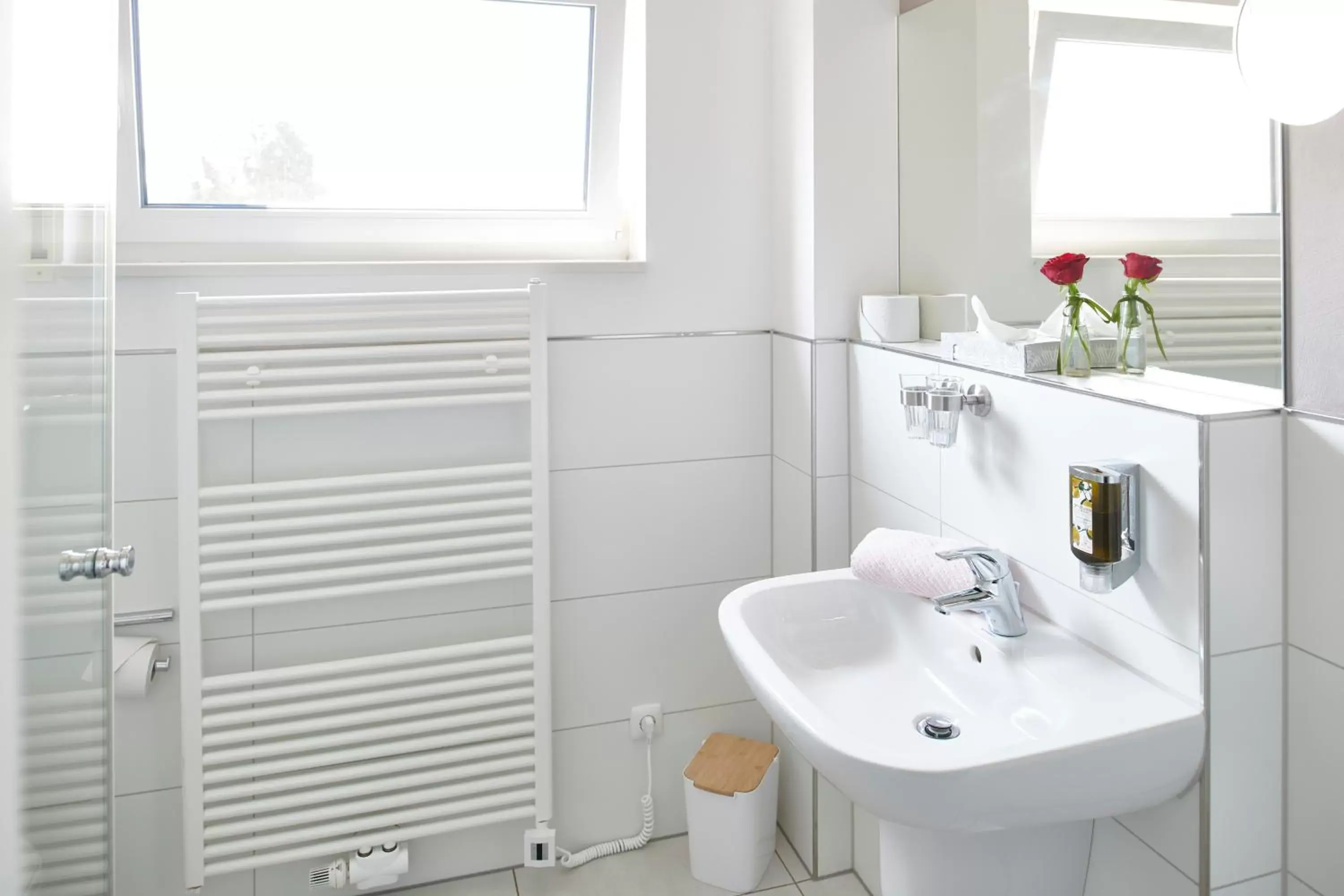 Comfort Double Room in Schwanenhof Hotel und Restaurant Comfort Double Room in Schwanenhof Hotel und Restaurant