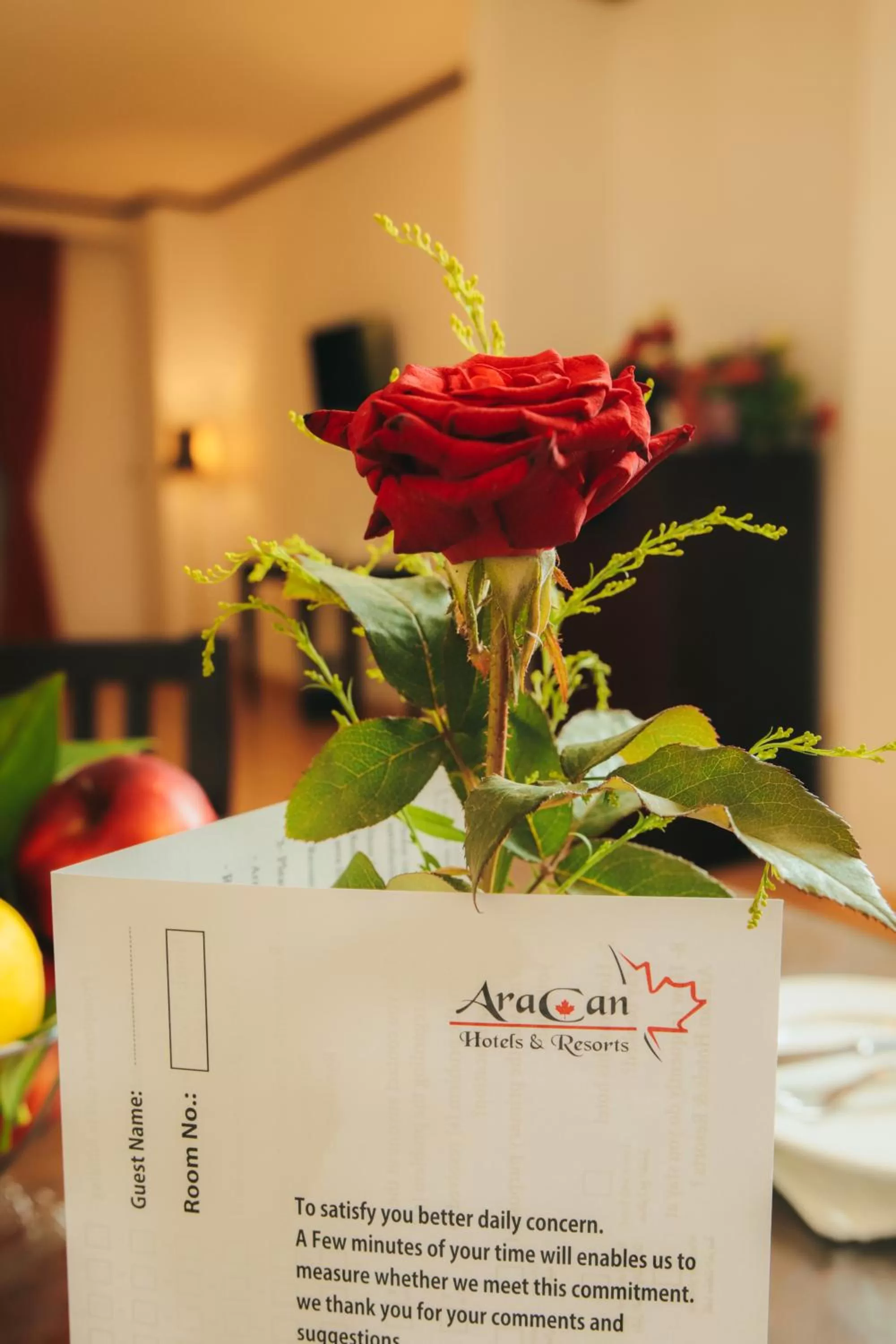 Decorative detail in Aracan Portsaid