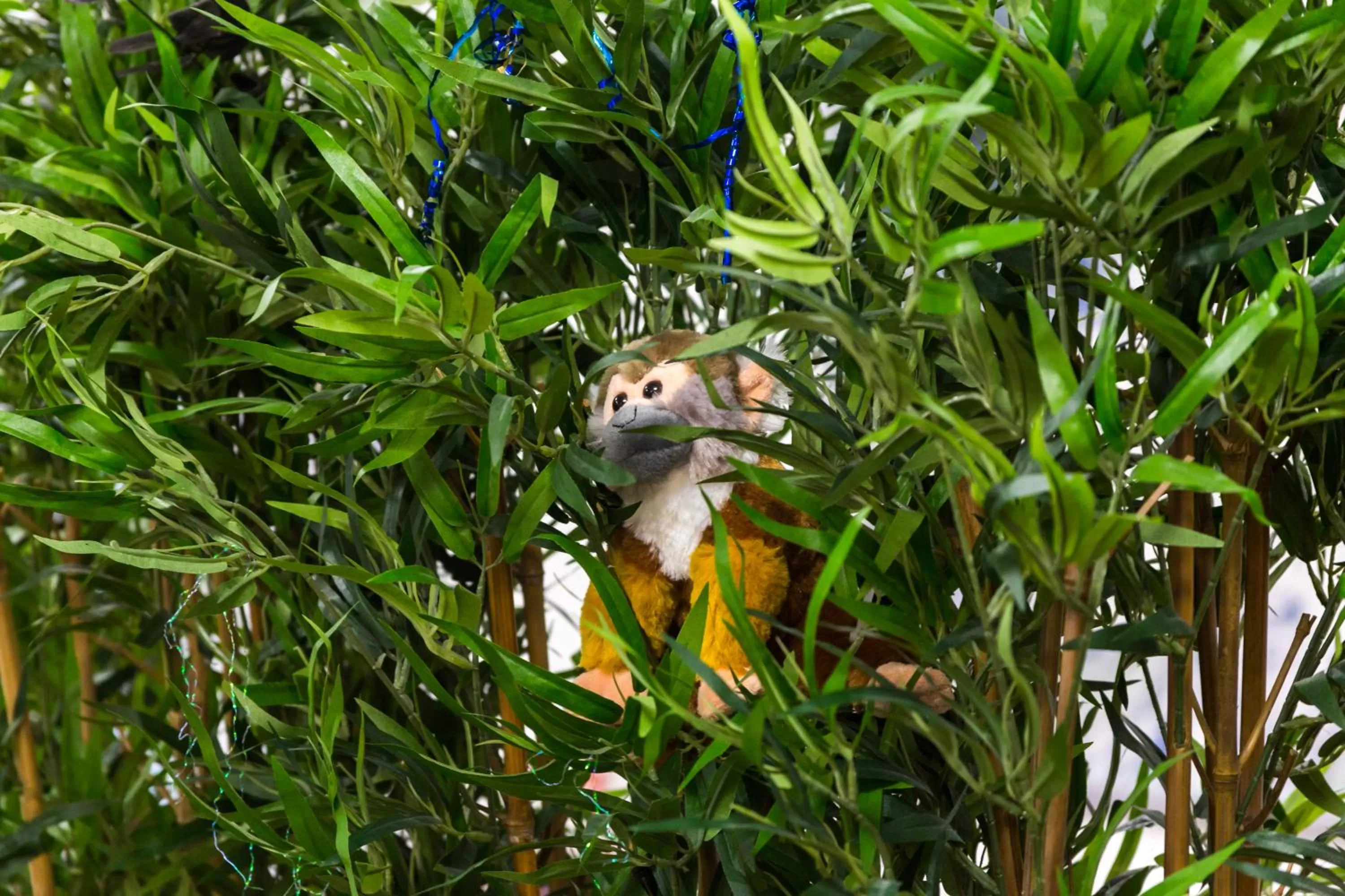 On site in Smart Russell Square