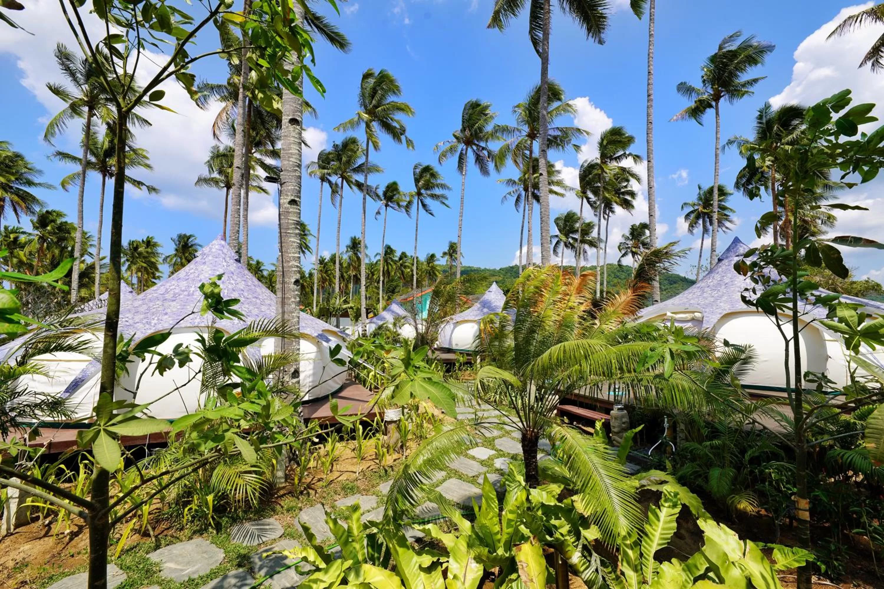 Natural landscape in Nacpan Beach Glamping Managed by H Hospitality Group
