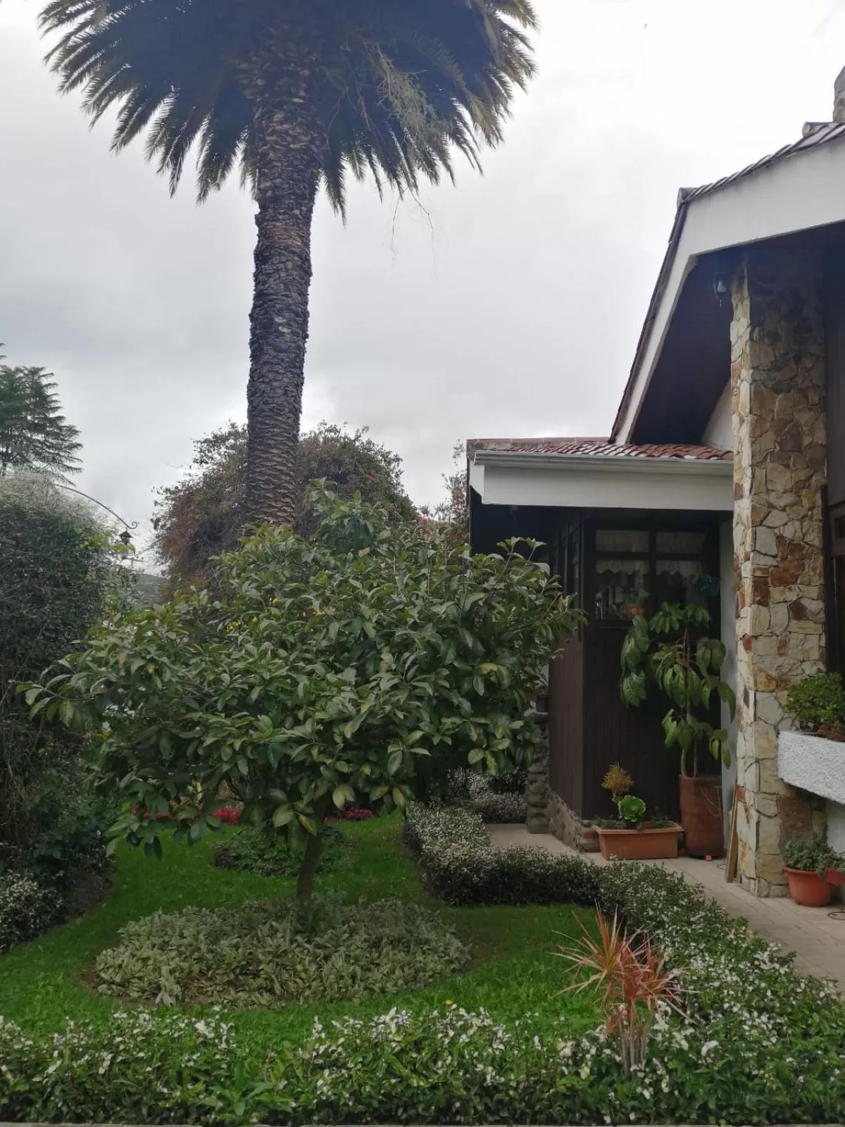 Garden, Property Building in Casatodosantos