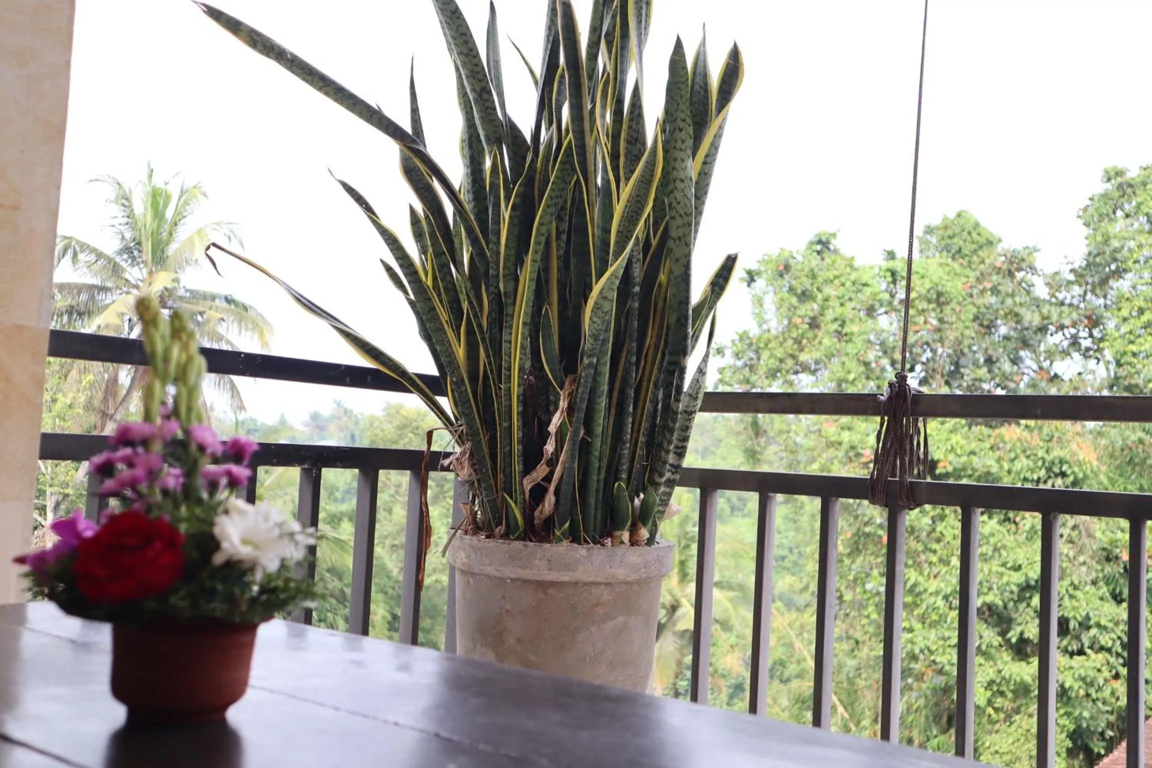 Balcony/Terrace in Wijaya Guest House Ubud