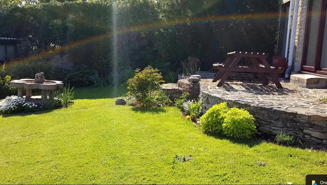 Spring in The Wood Cottage