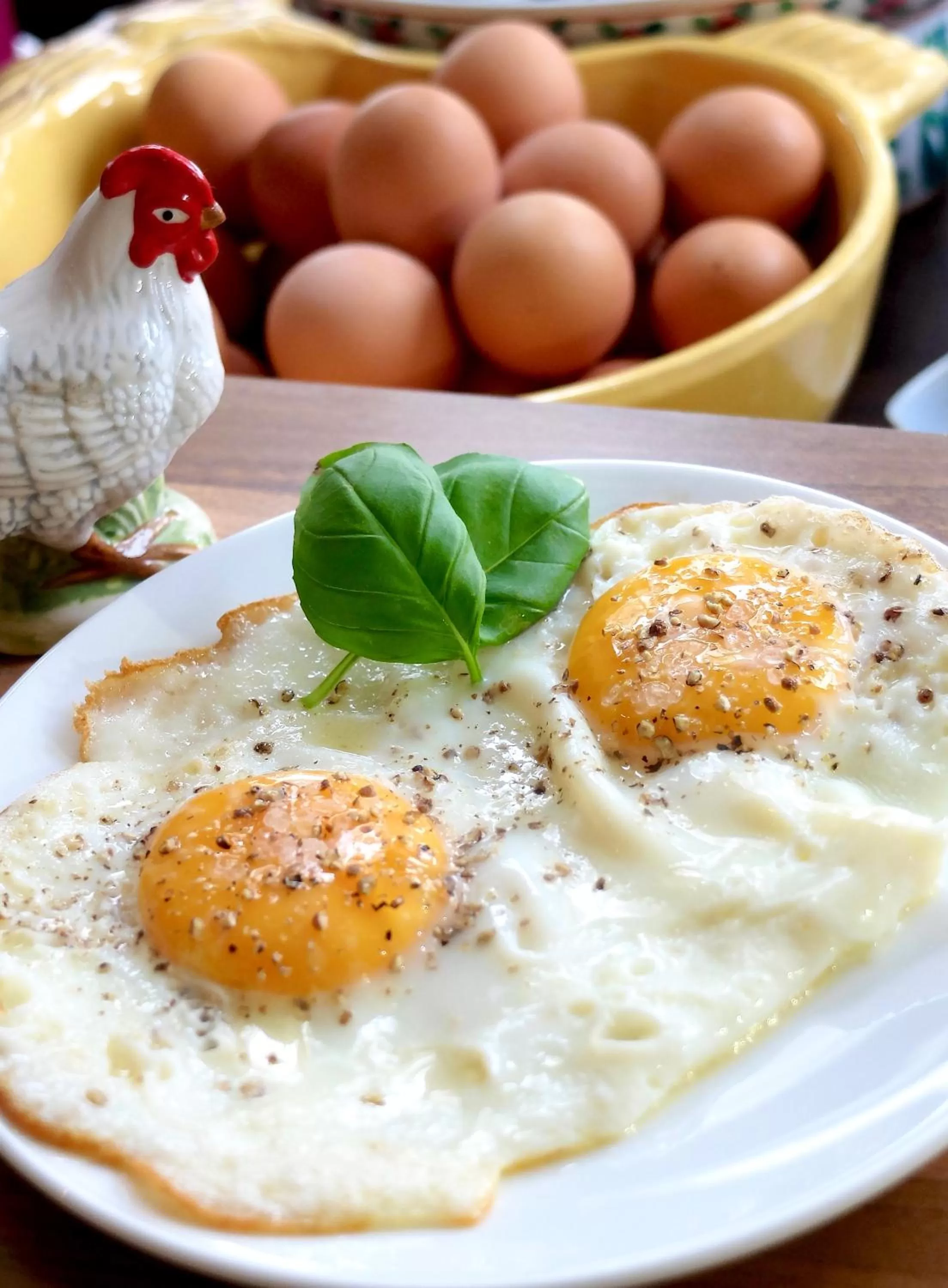 Continental breakfast, Food in Hotel Villa Verdi
