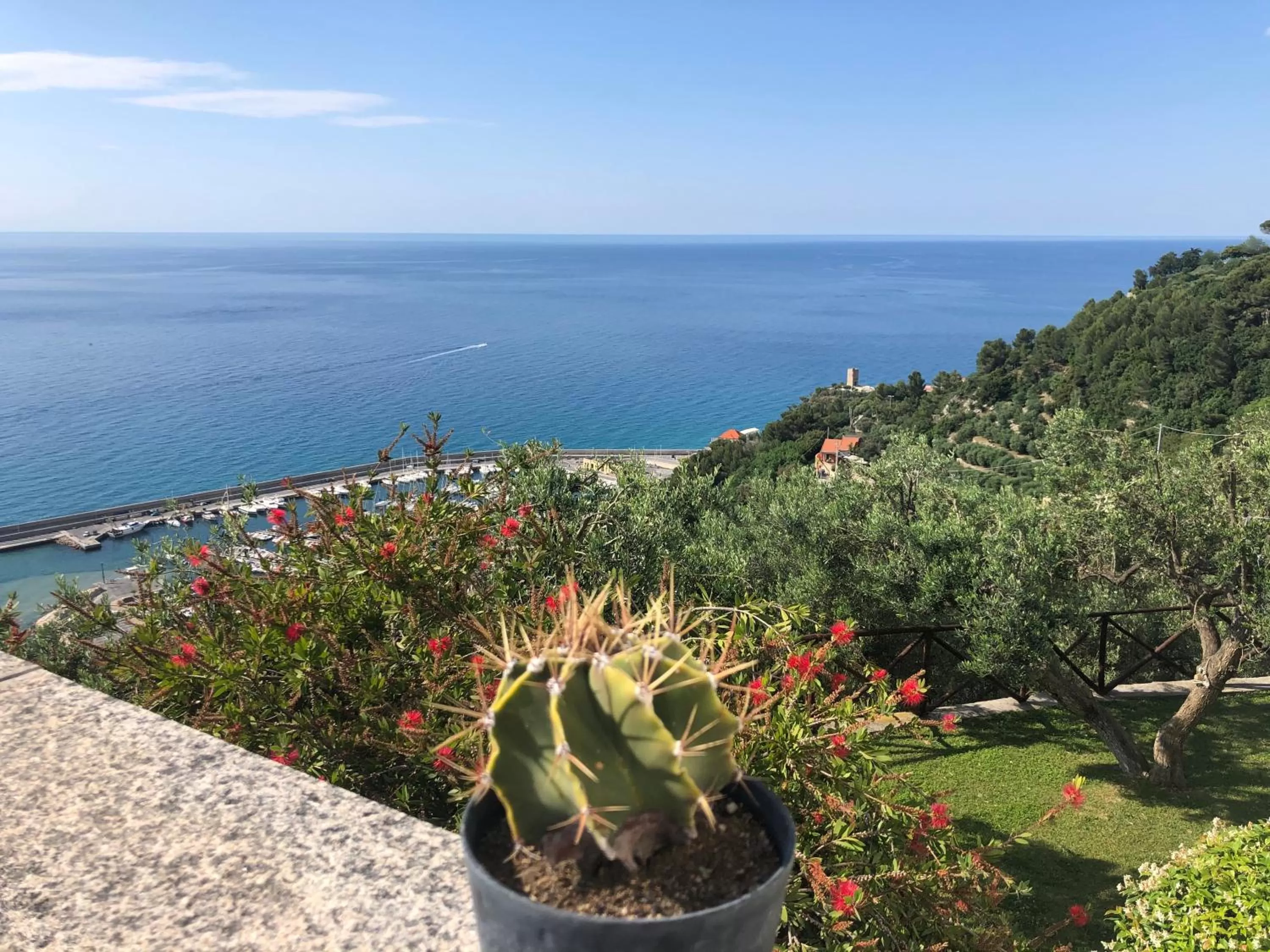 Sea view in Villa Degli Ulivi B&B