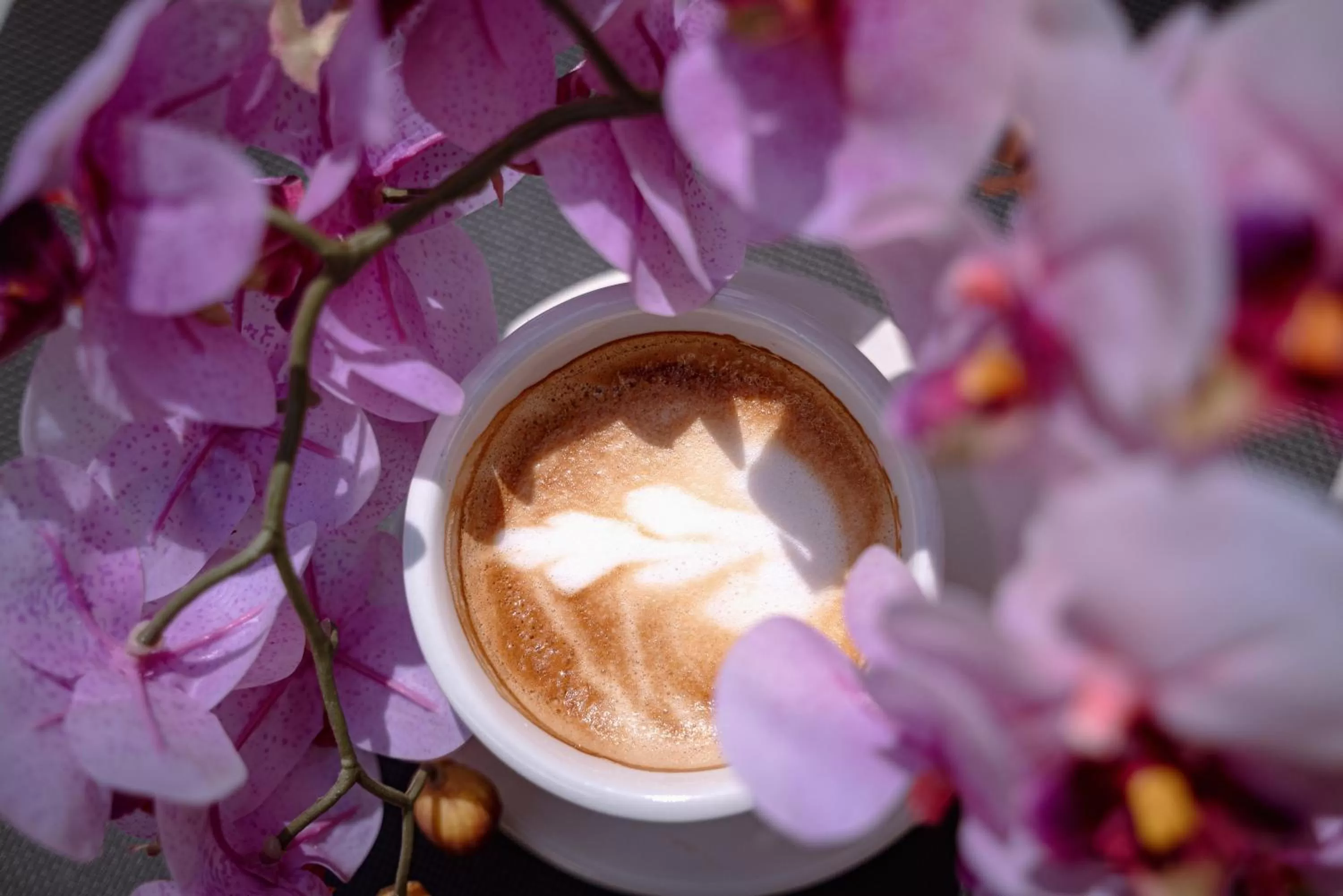 Restaurant/places to eat in Hotel Carpathia