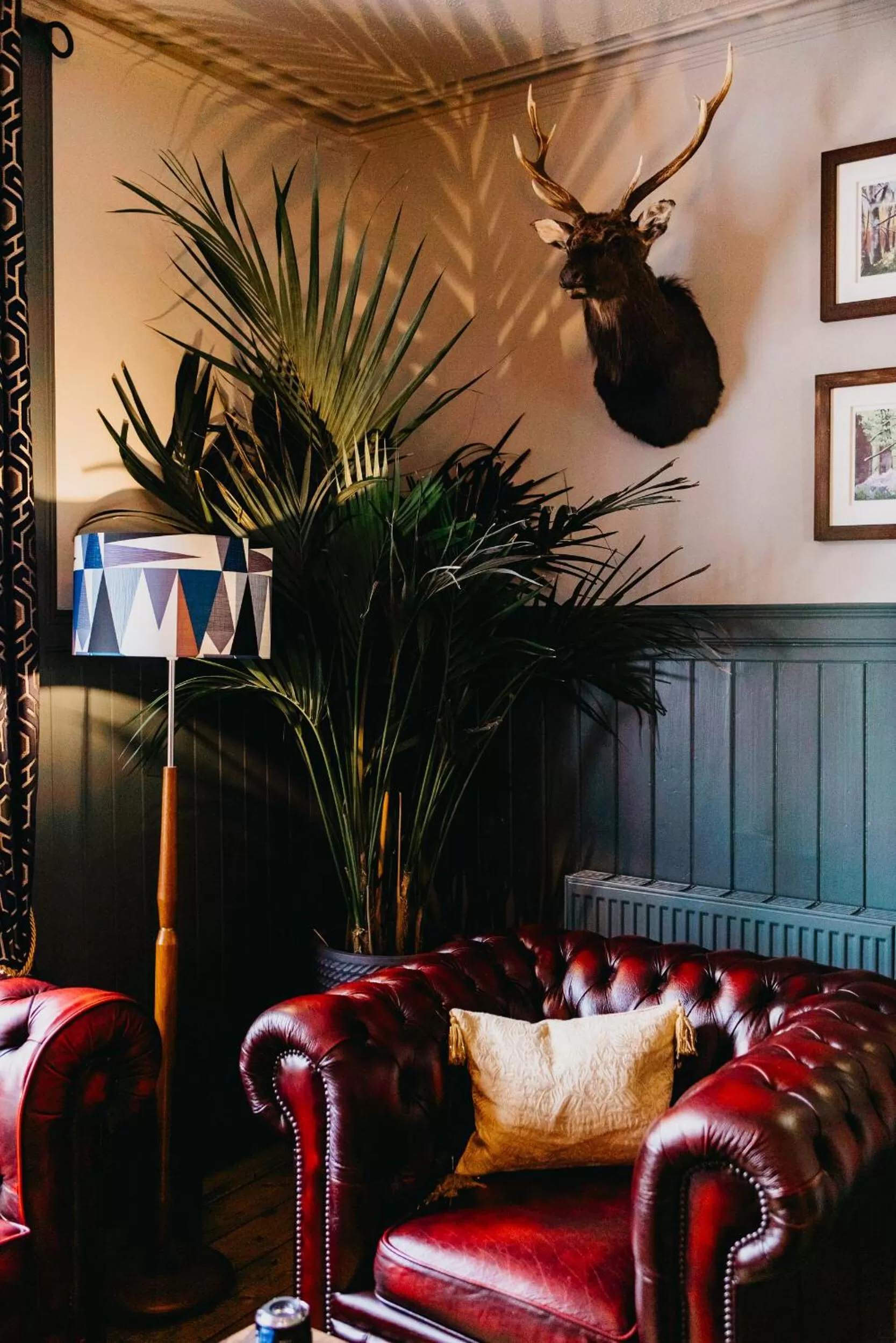 Lounge or bar in Coorie Inn Restaurant and Rooms