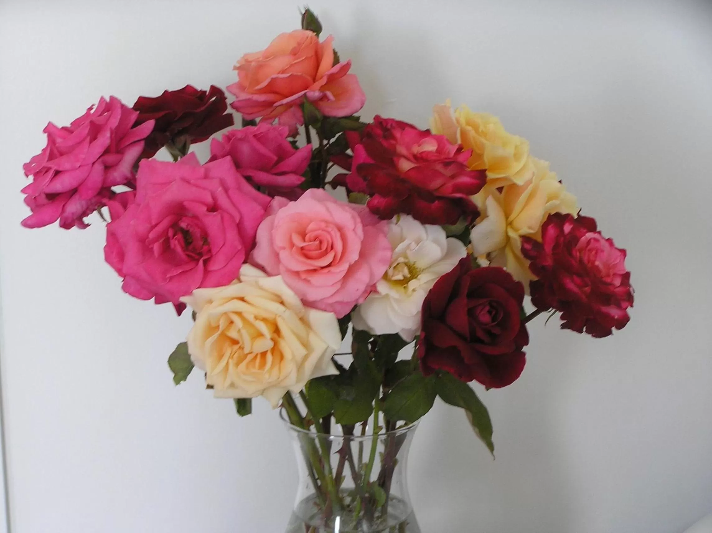 Decorative detail in Auldington Hotel