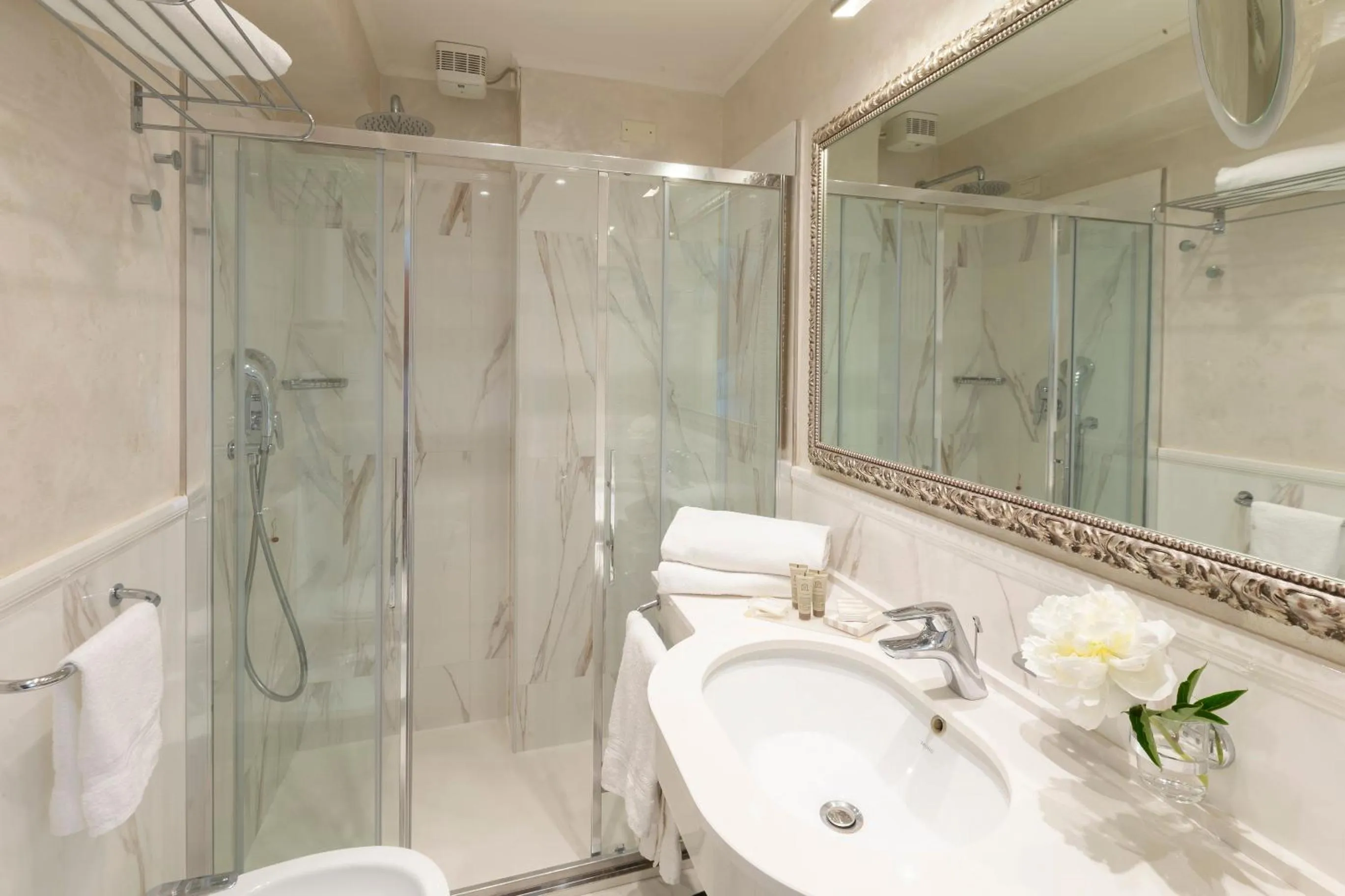 Shower in Hotel Feldberg