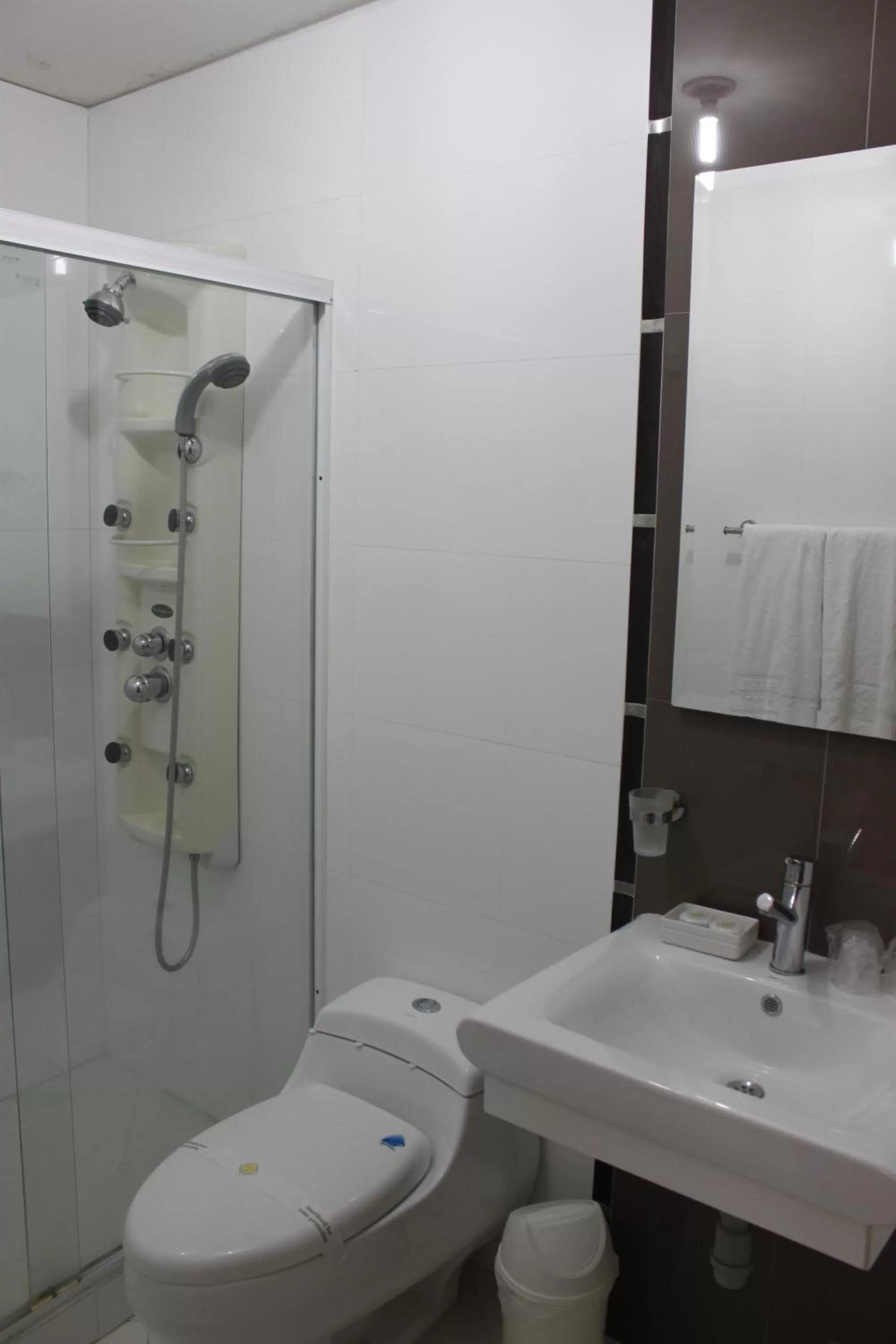 Bathroom in Hotel Palonegro