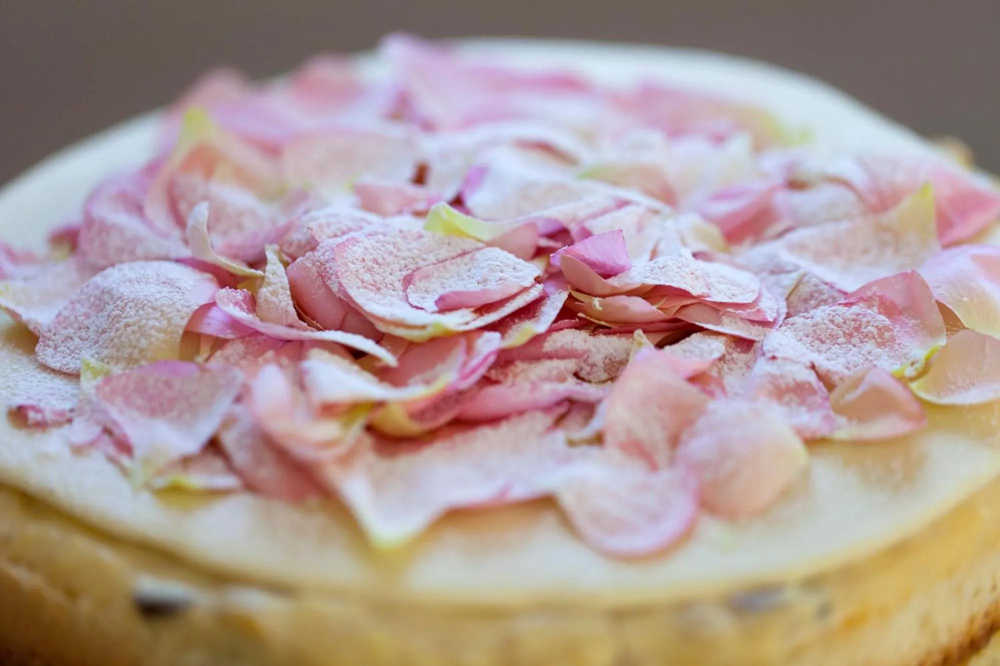 Restaurant/places to eat in Europa Hotel Design Spa 1877