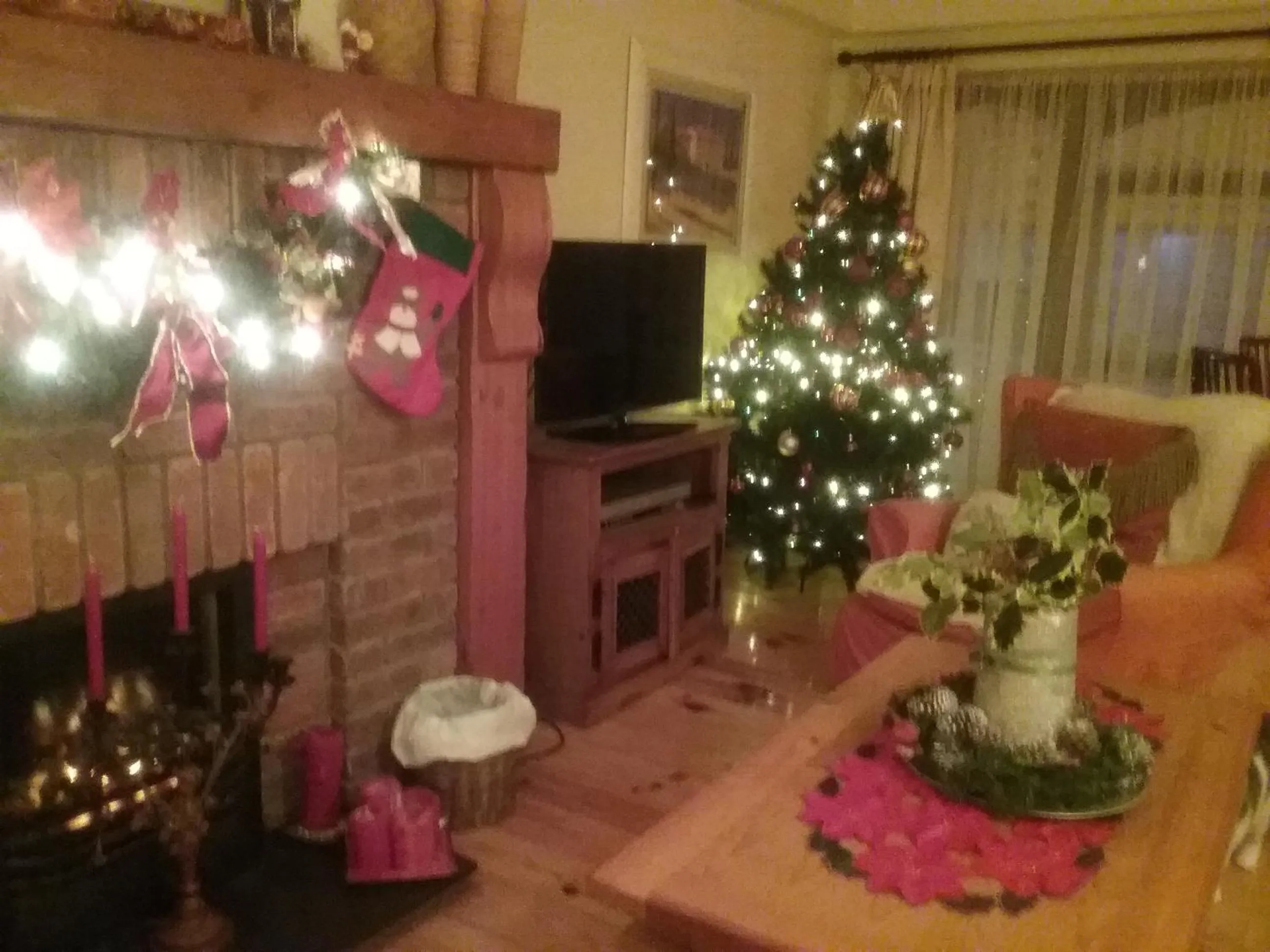 Communal lounge/ TV room in Ashleigh Guest House