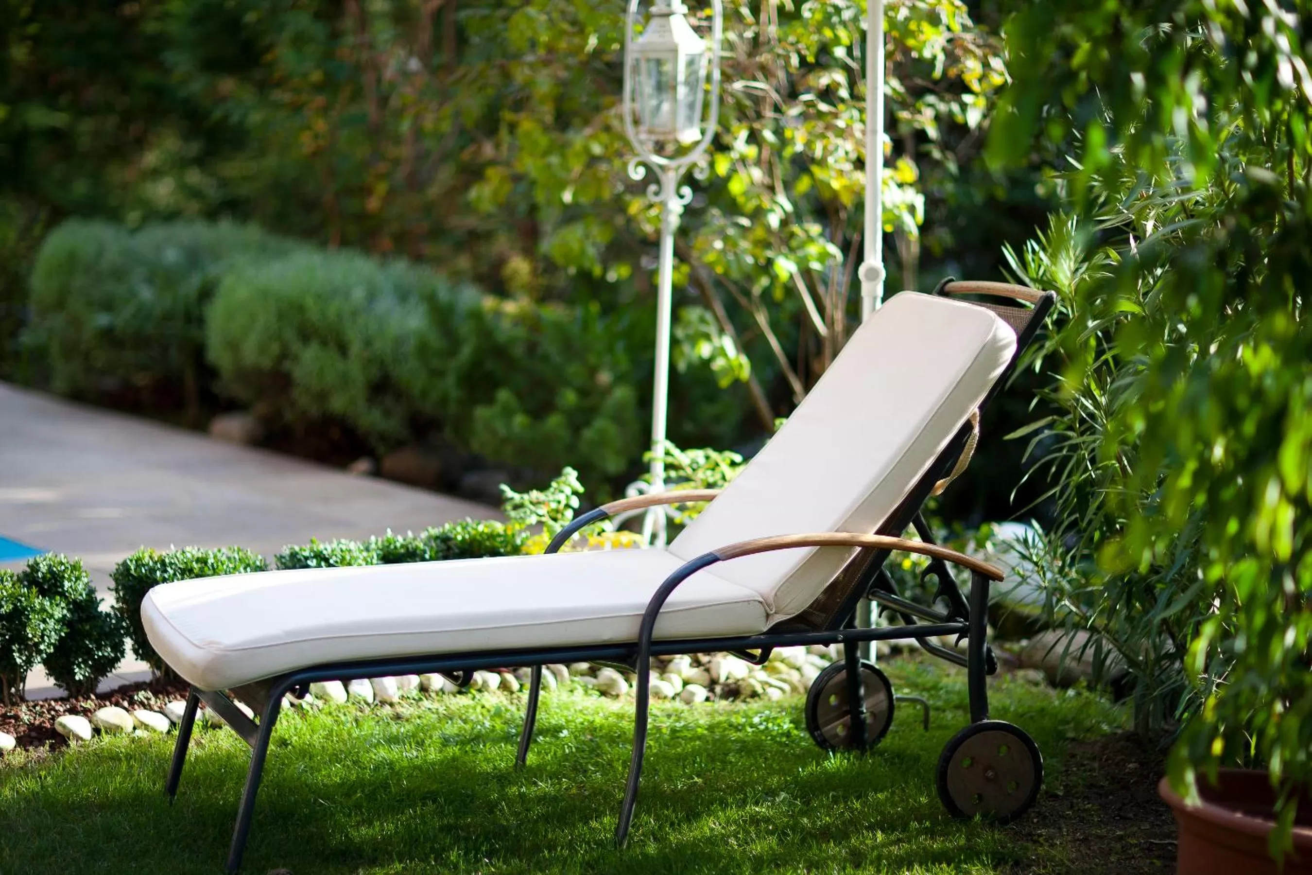 Spring in Hotel Aster