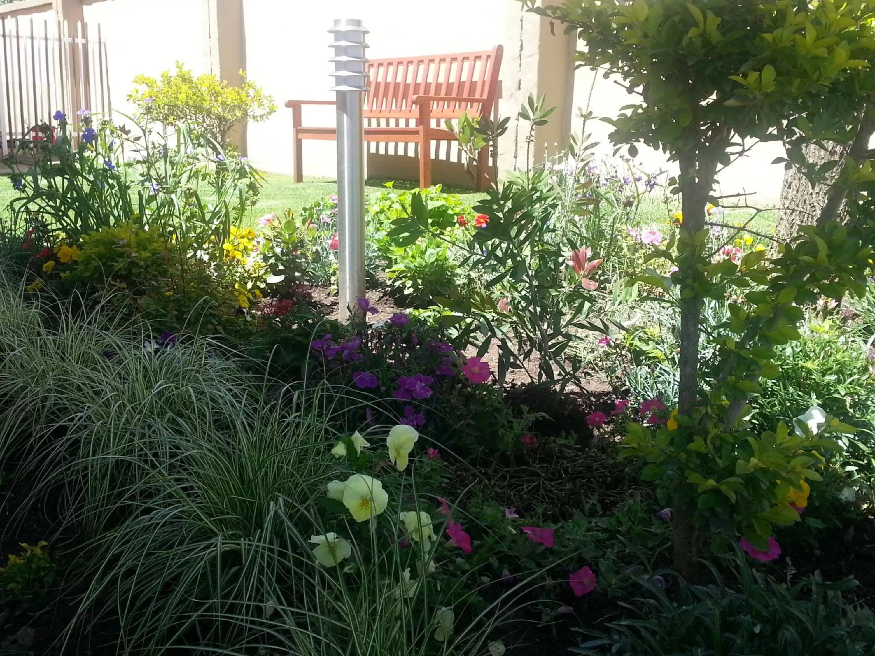 Garden in Majestic Guesthouse