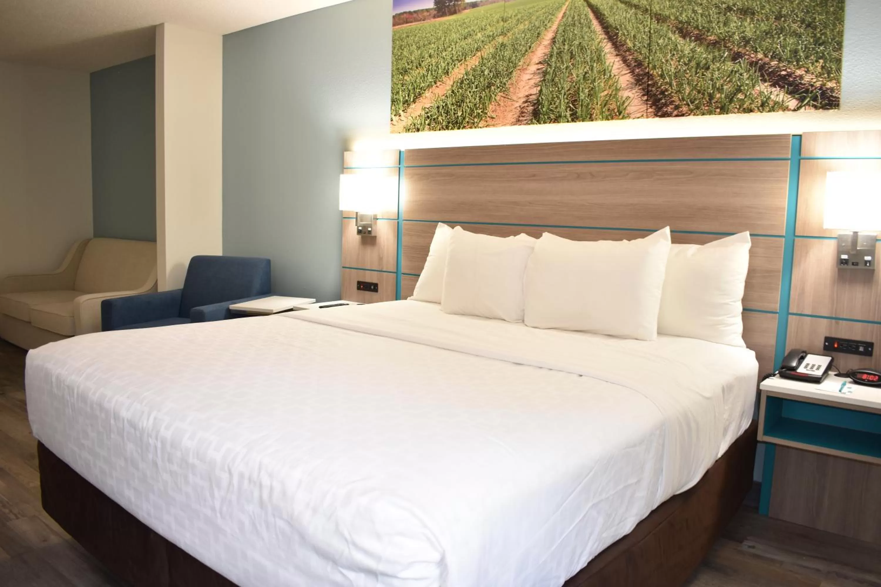 Bed in Clarion Pointe Vidalia - Lyons West