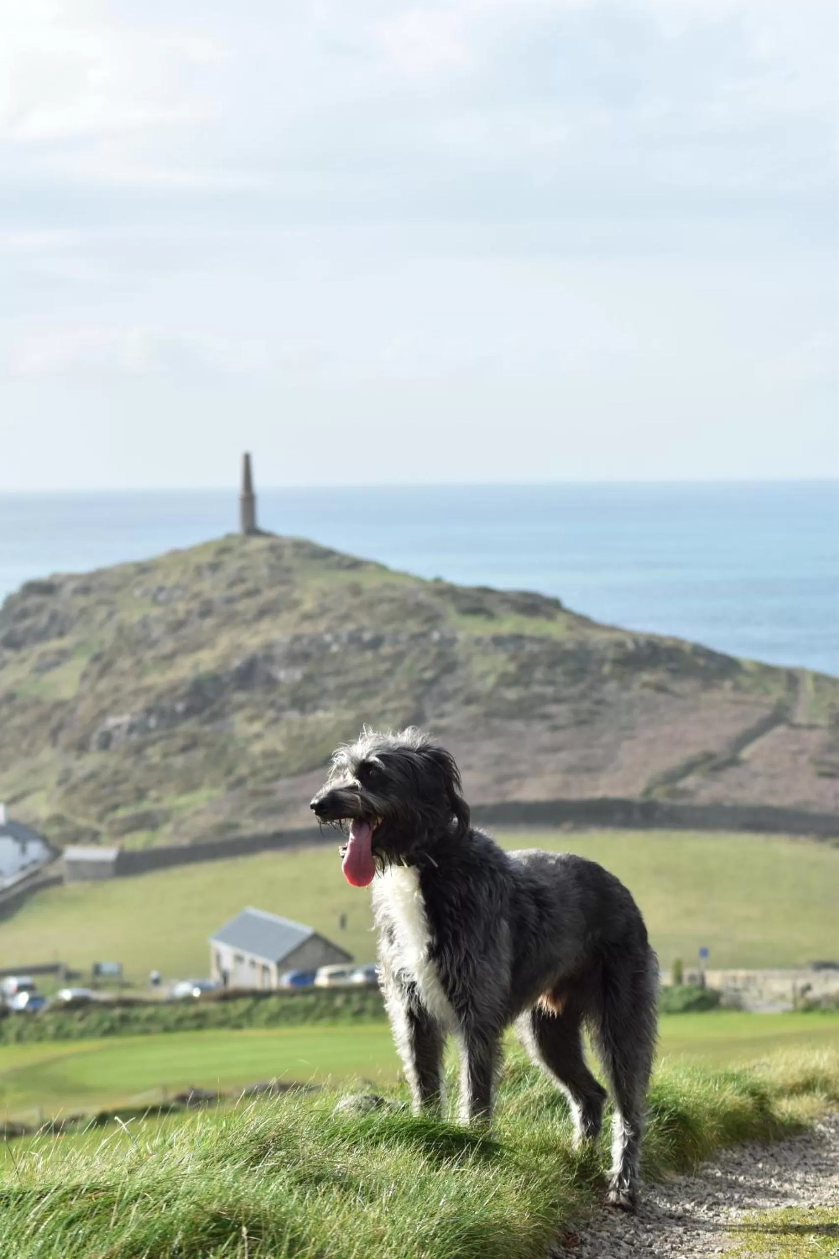 Property building in Cape Cornwall Club