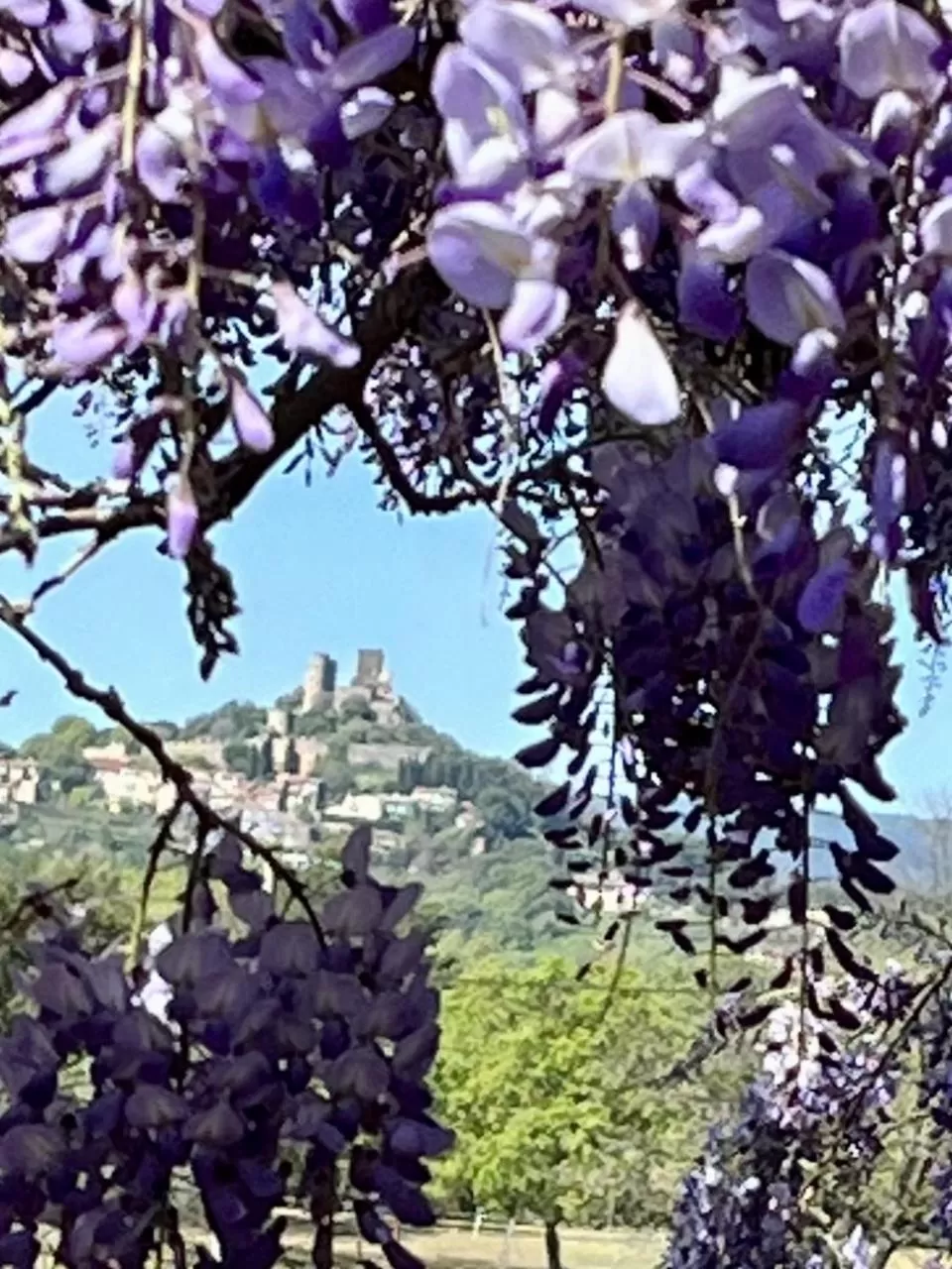 LA MAISON DE JUSTINE