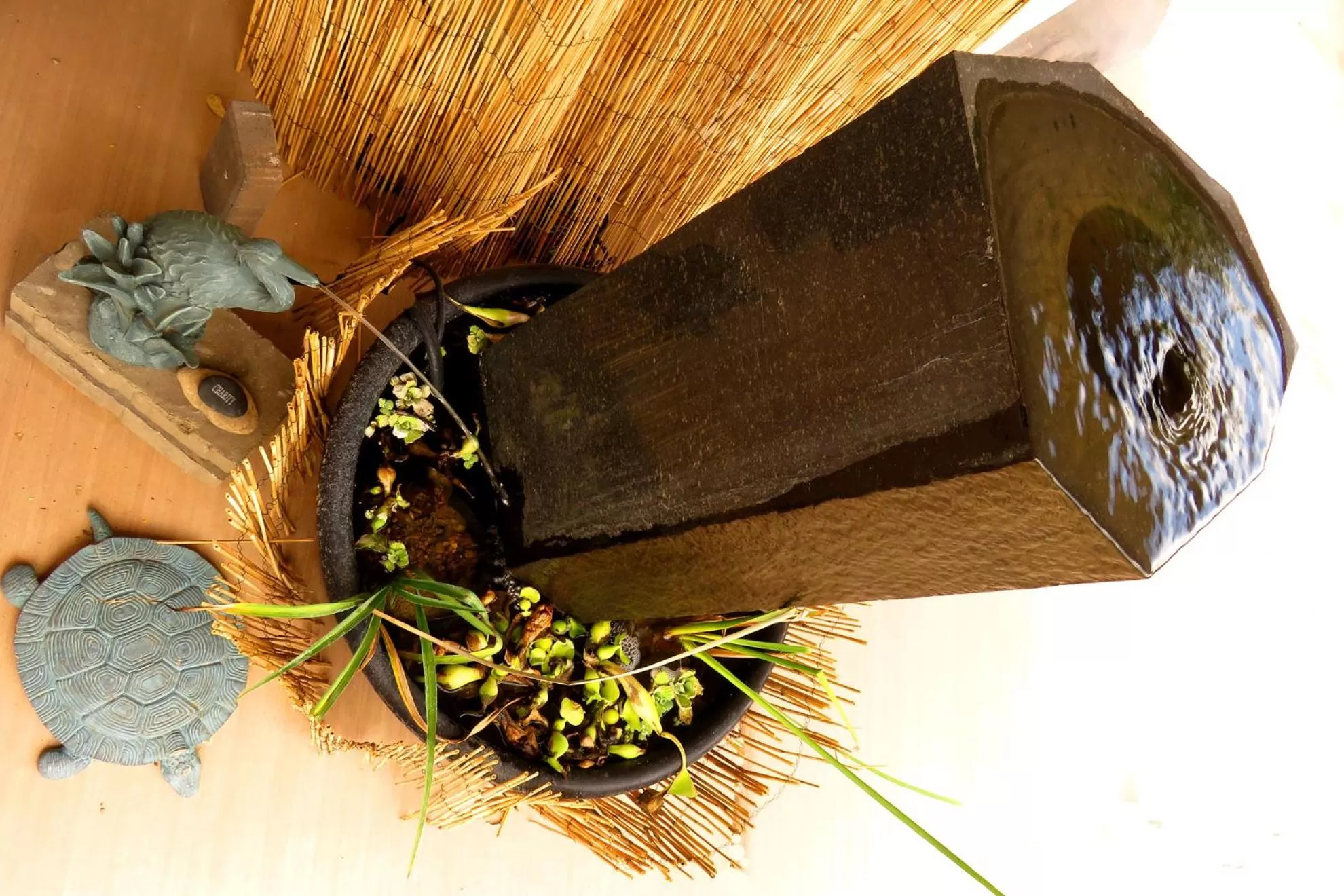 Property building in 2 Cranes Inn - Zion