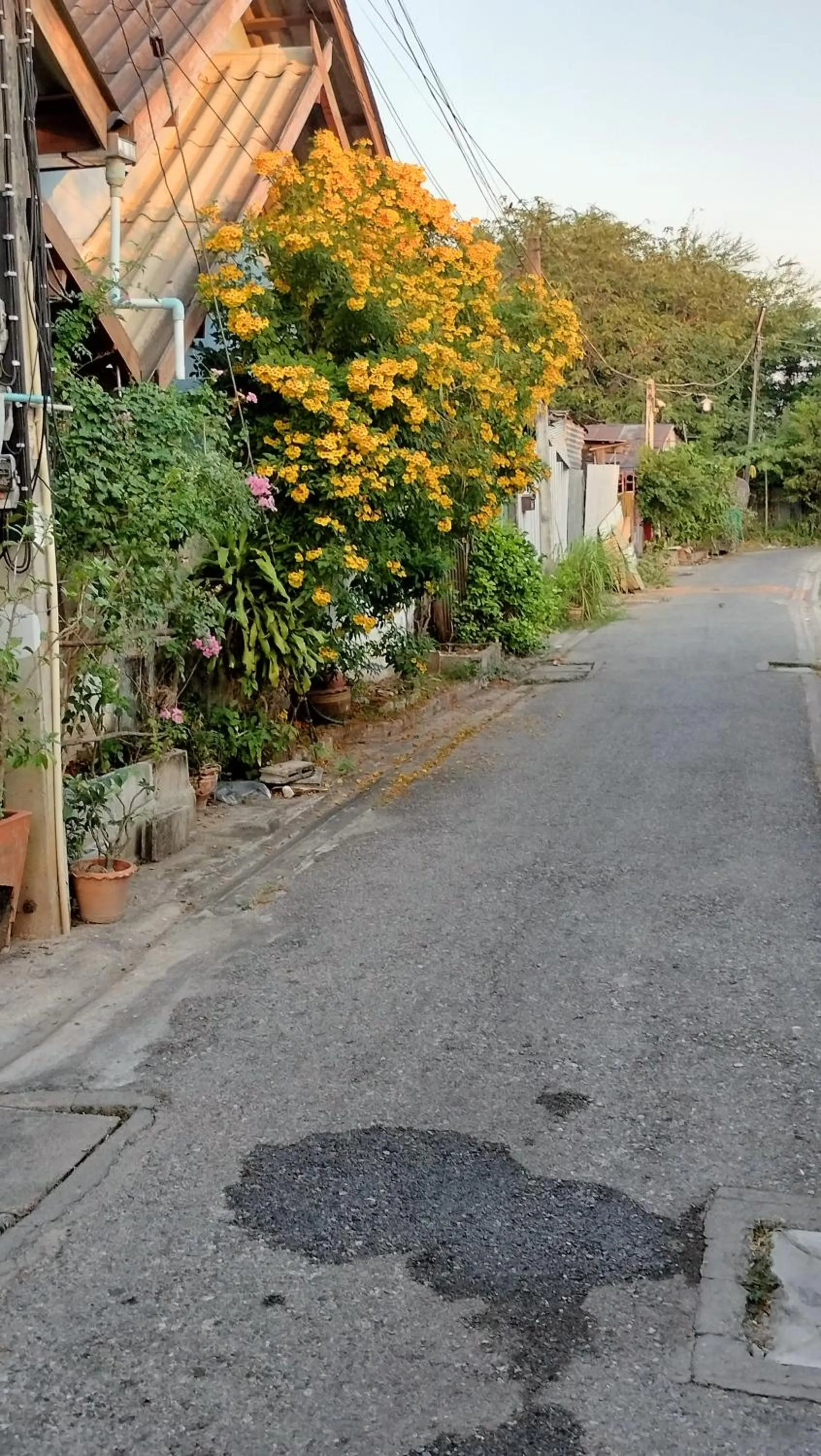 Street view in Canaan
