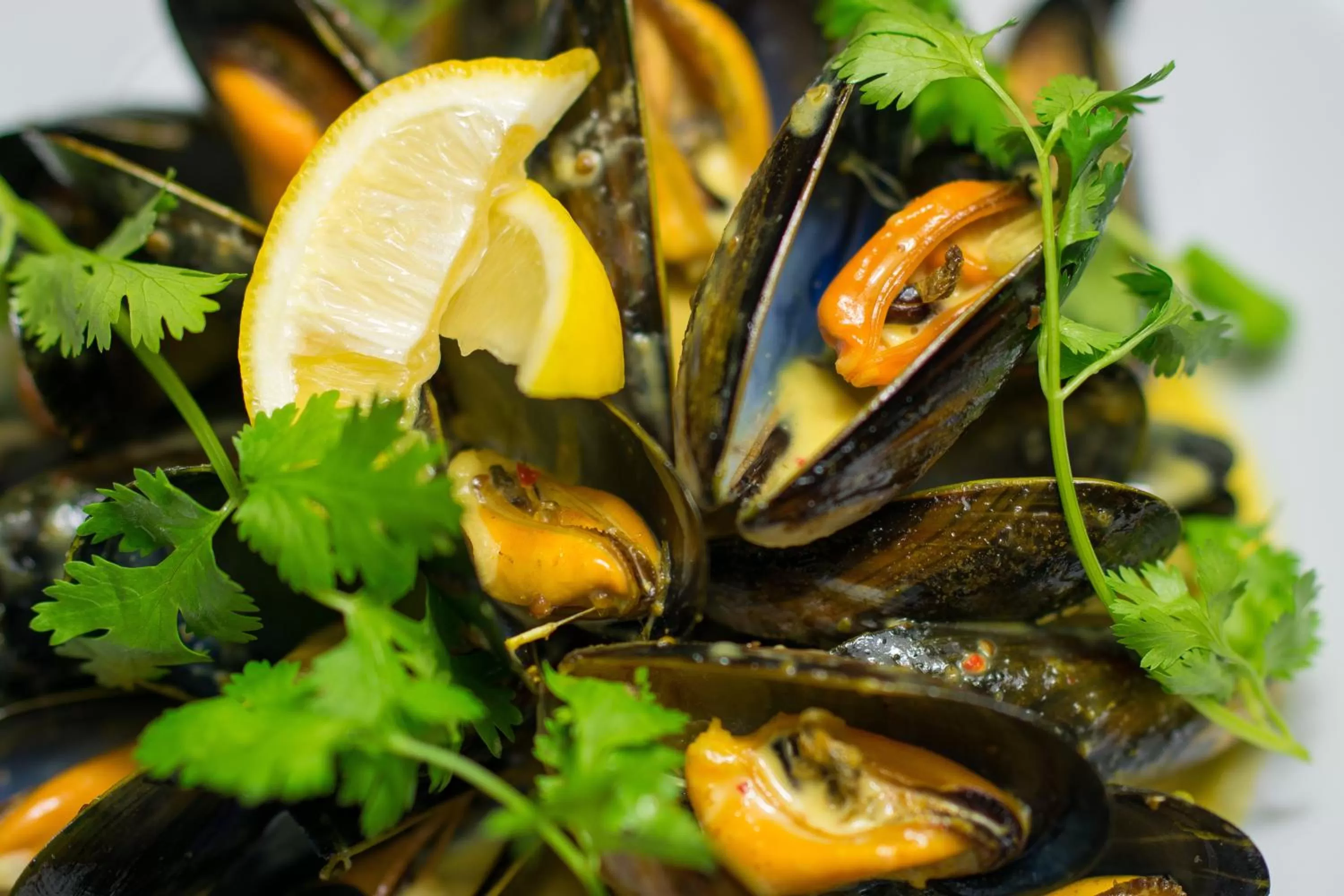 Food close-up in The Fenwick