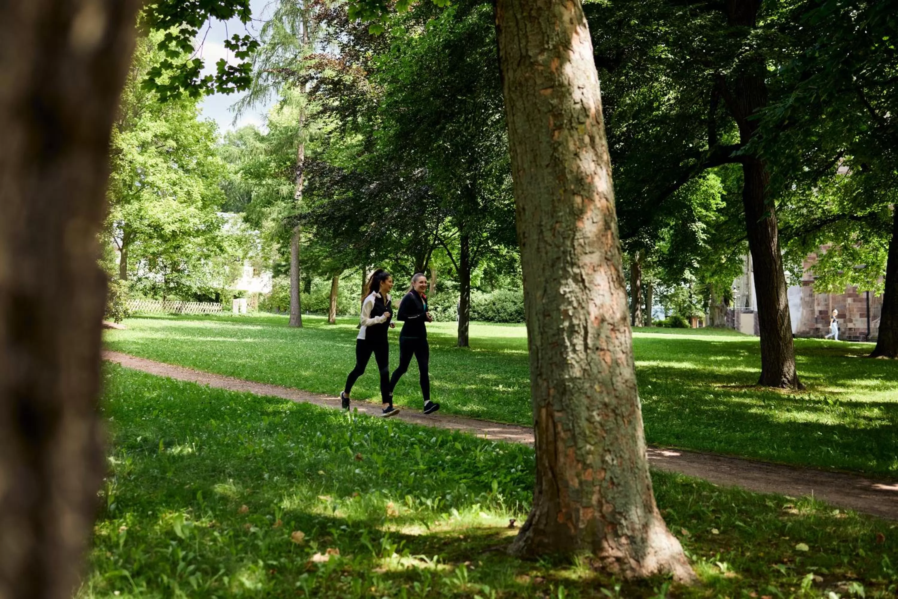 Hiking in co56 Hotel Chemnitz