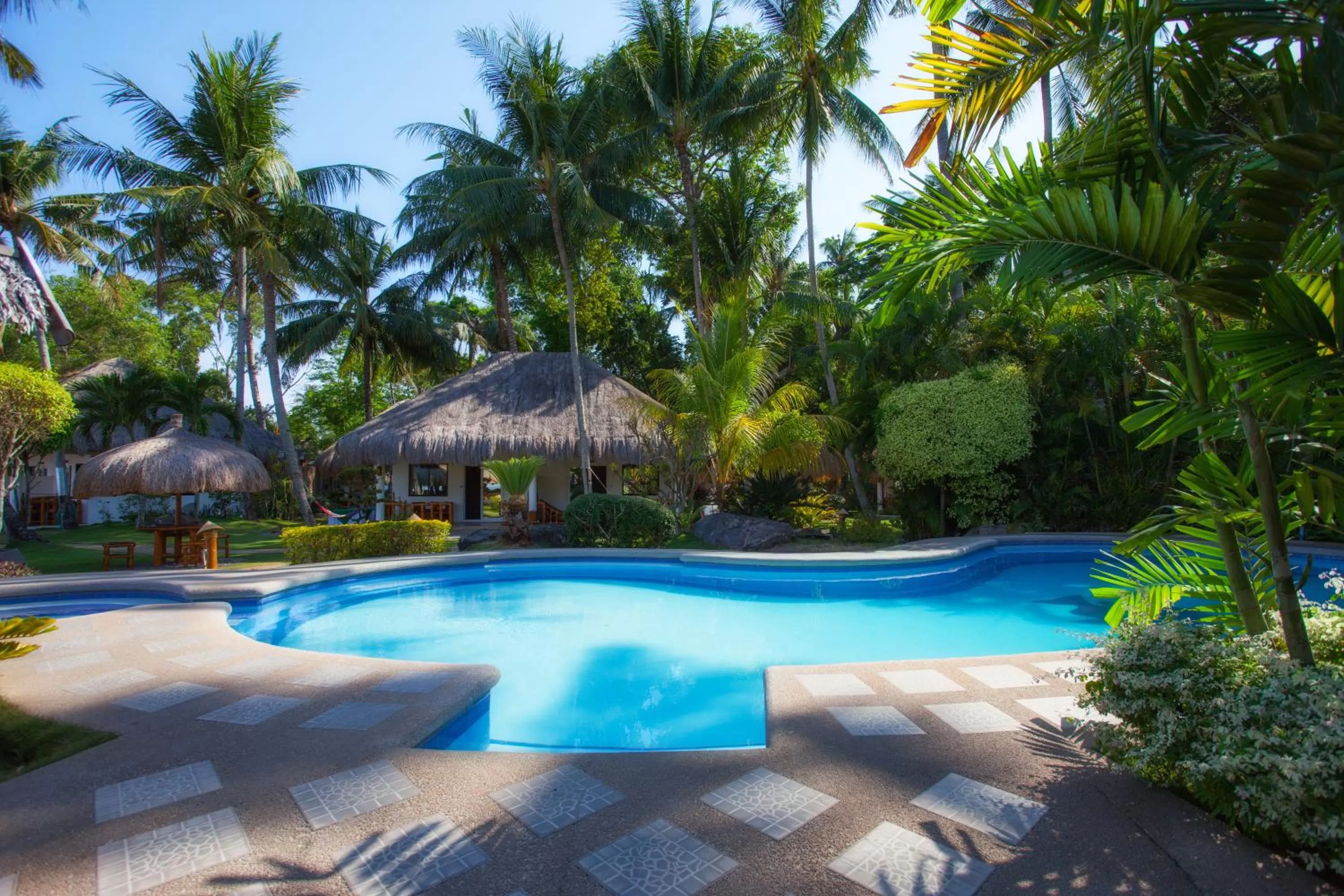 Swimming pool in Pura Vida Beach & Dive Resort