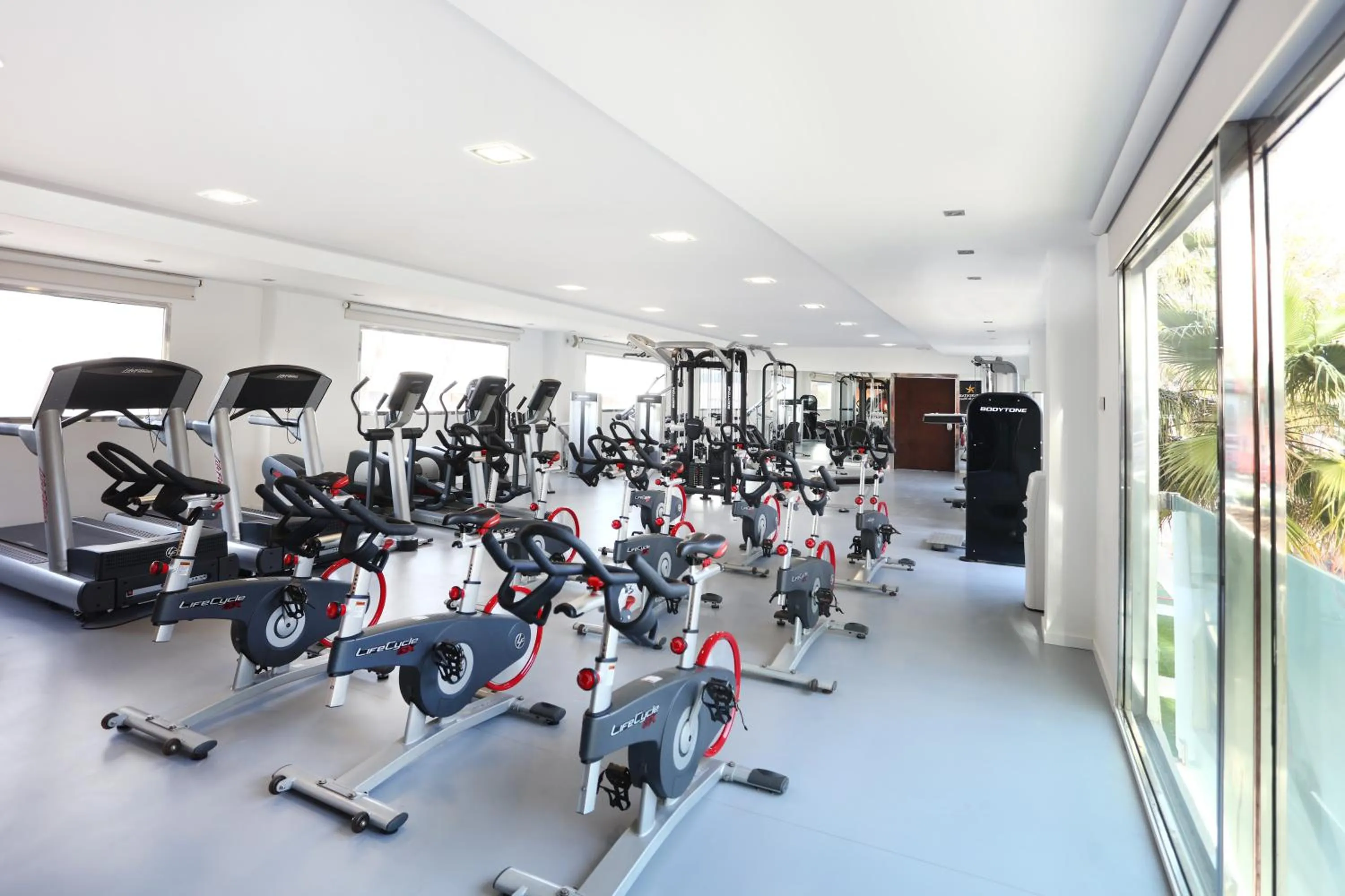 Activities in Iberostar Waves Playa de Muro