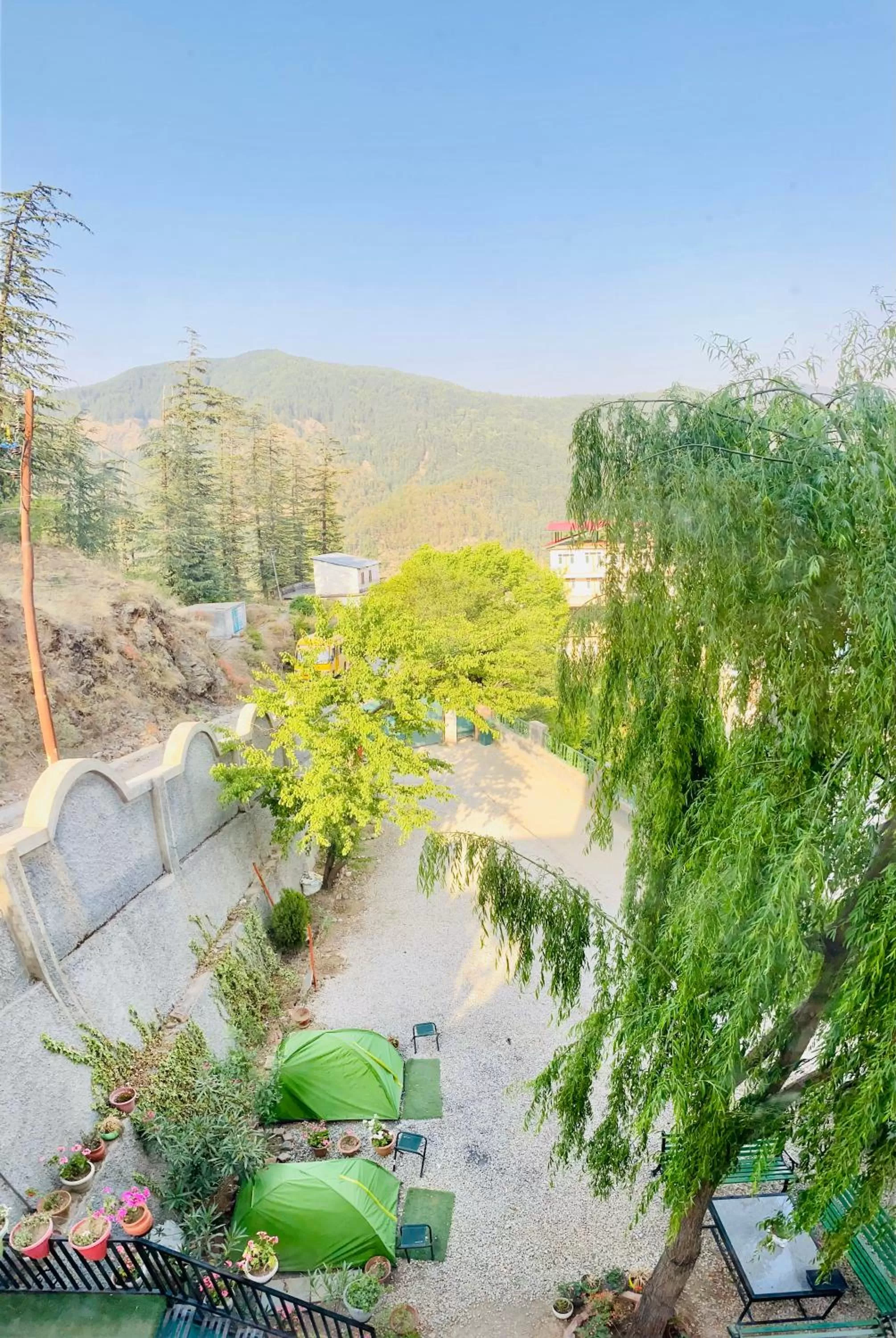 Day in Sai Cottage Shimla