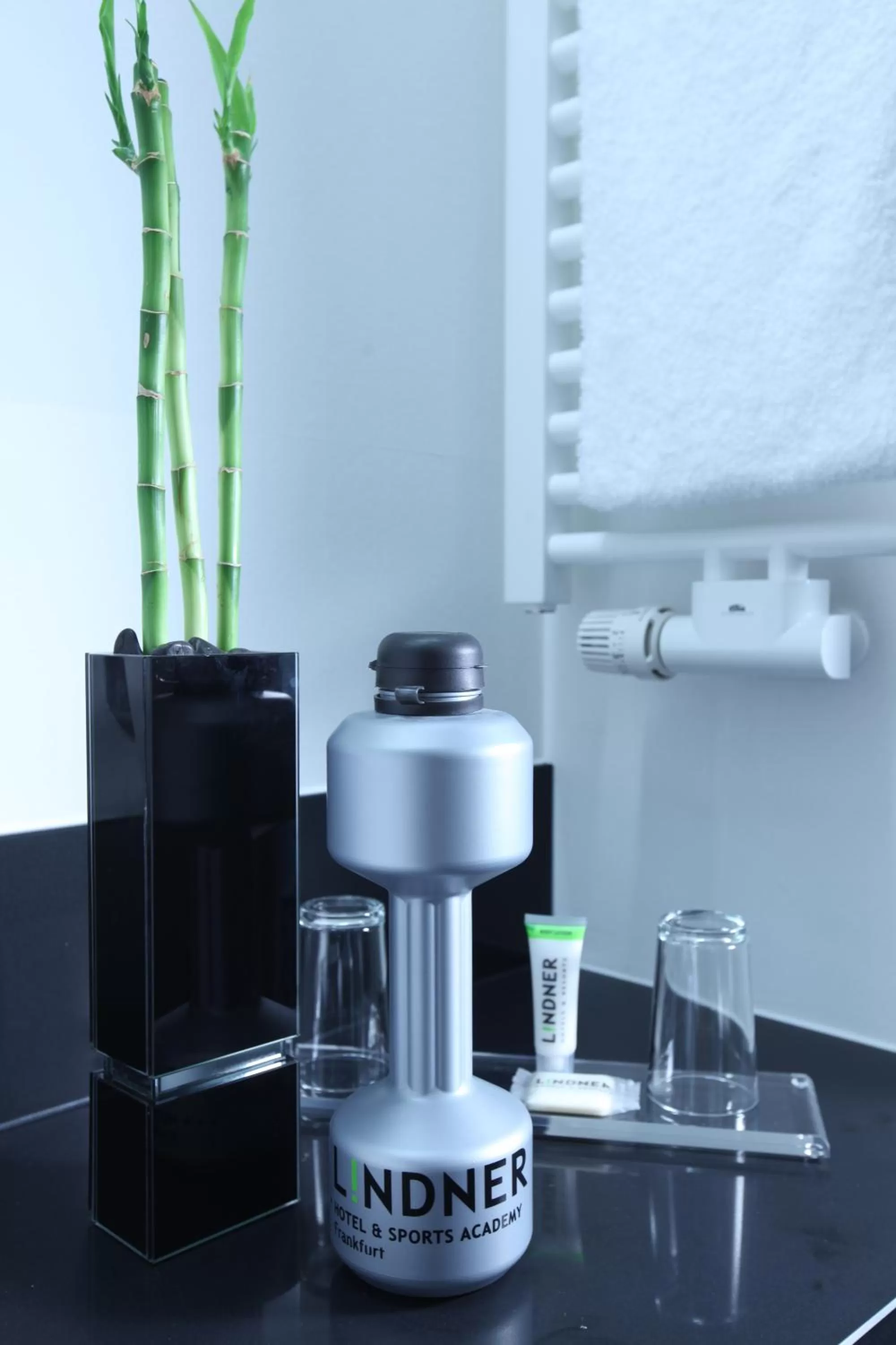 Decorative detail in Lindner Hotel Frankfurt Sportpark, part of JdV by Hyatt