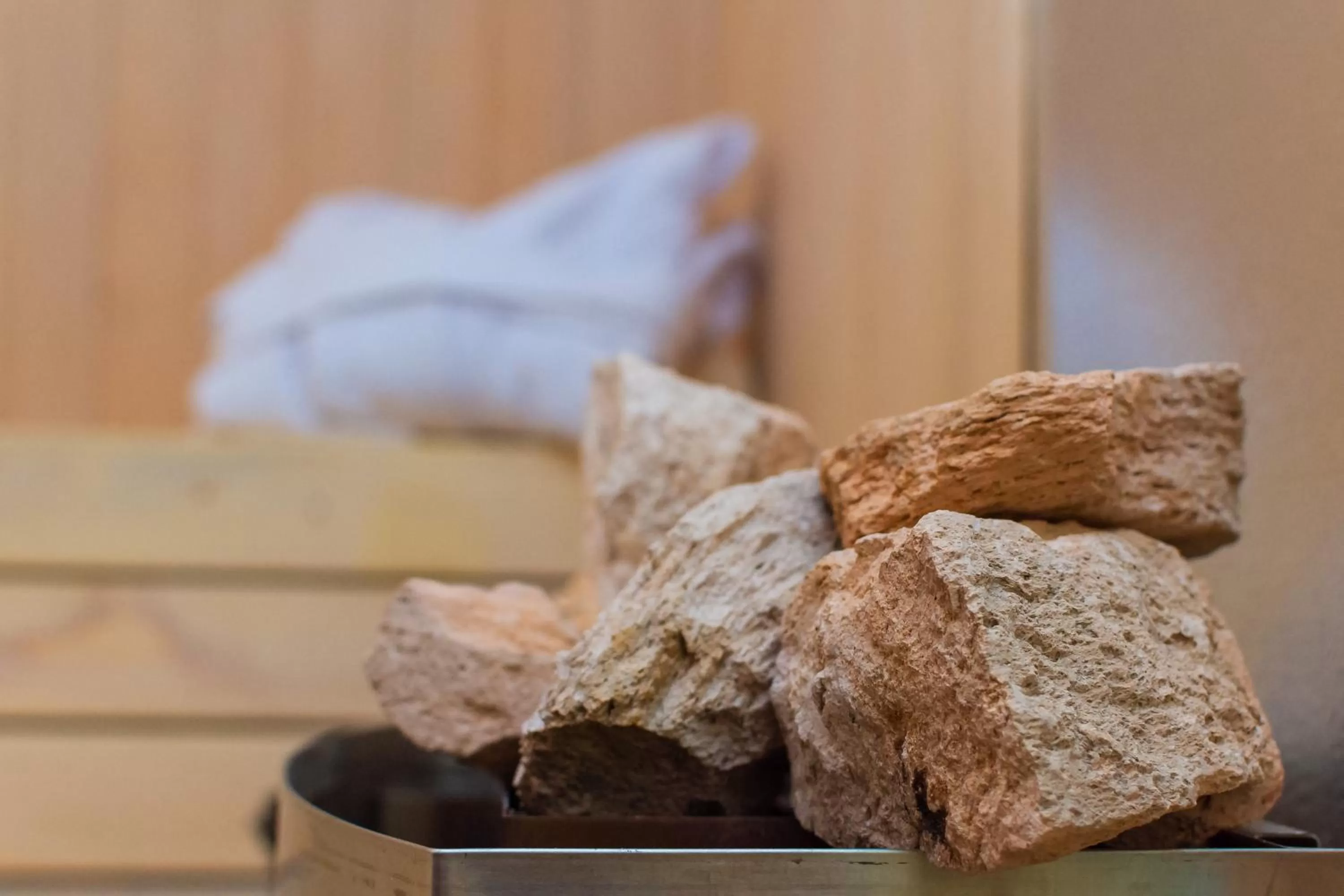 Sauna in Hotel Piren