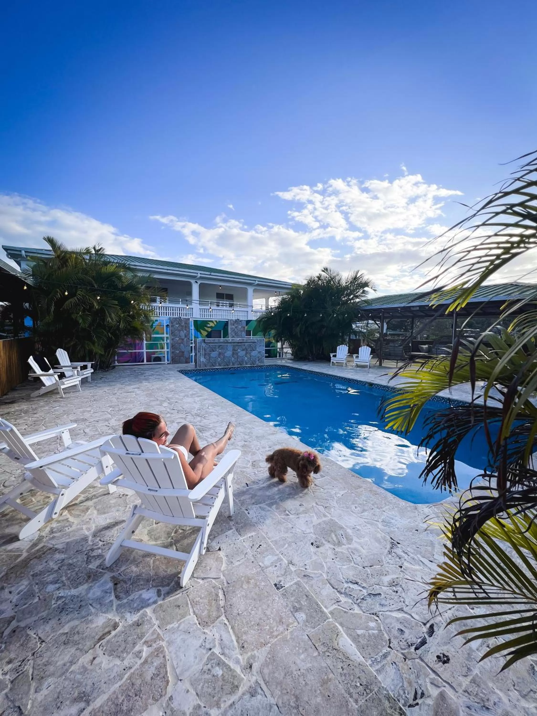 Swimming Pool in El Flamingo Beach Club
