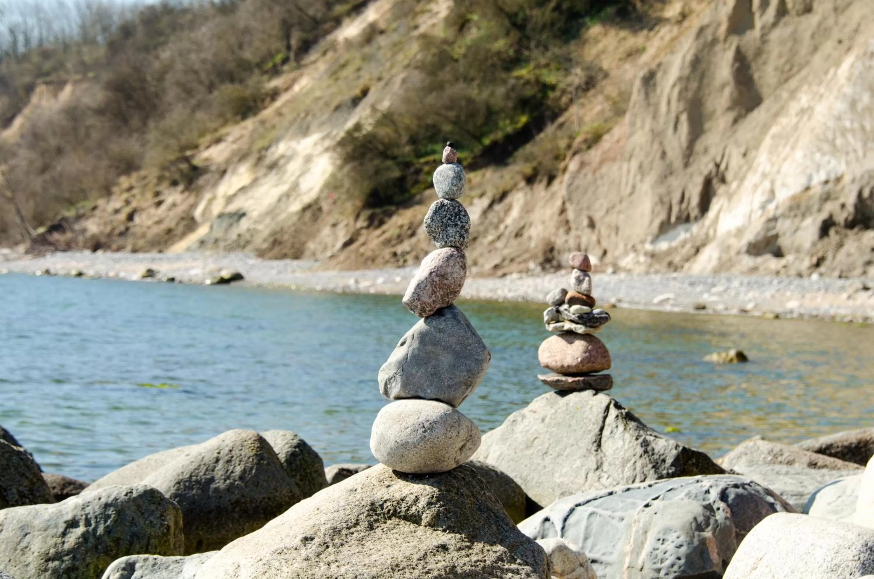 Natural landscape, Other Animals in Mare Balticum