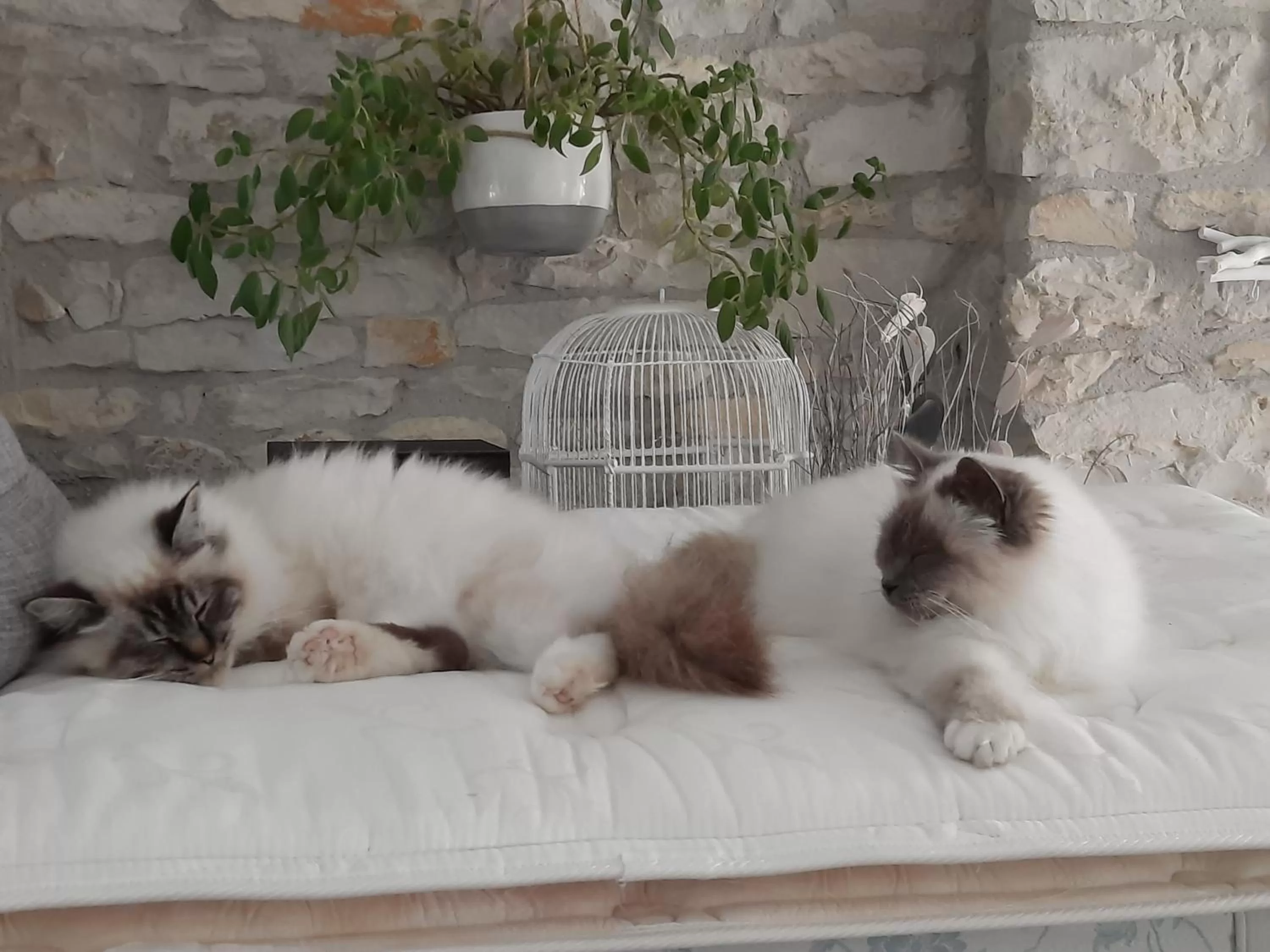 Other in L'instant bleu