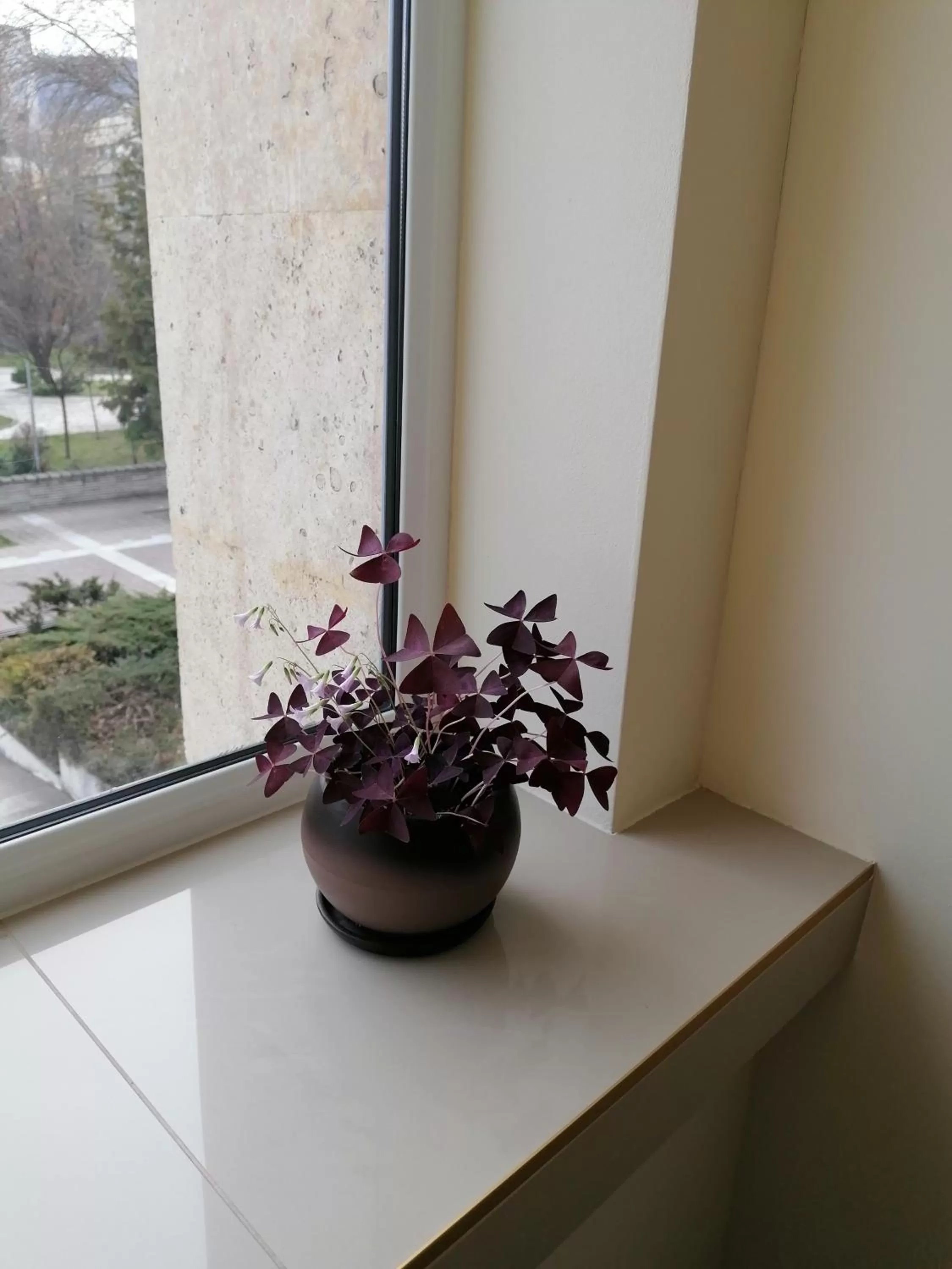 Photo of the whole room in Hotel Lago Peshtera