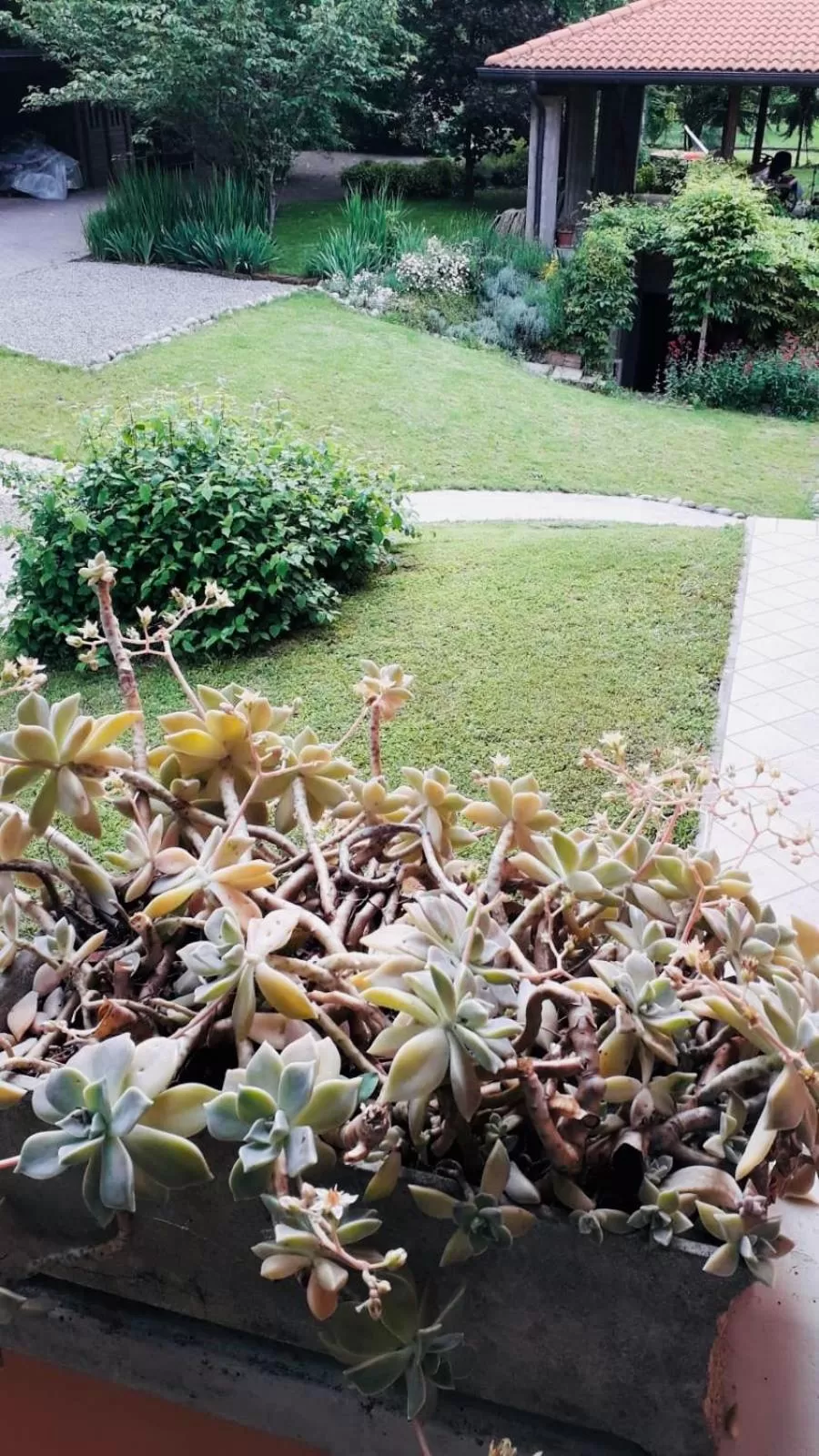 Garden in B&B Mo Va Là