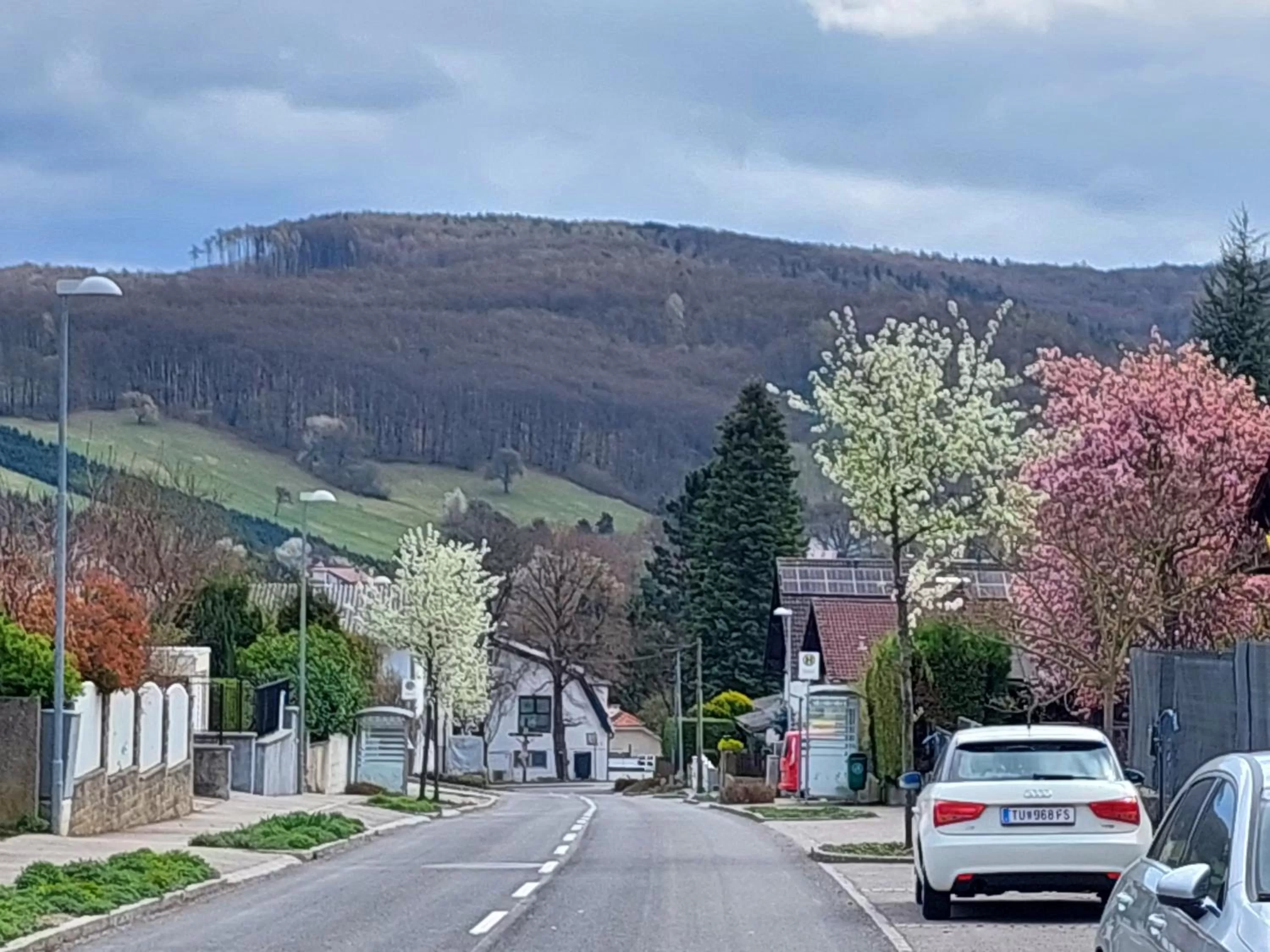 Mountain View in Pension Welserhof
