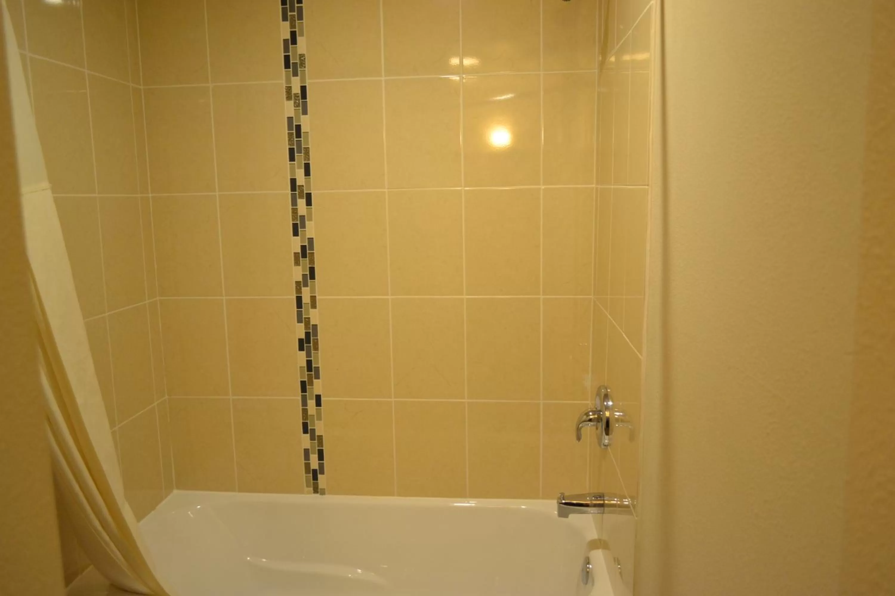 Shower in Skyway Inn - Seatac