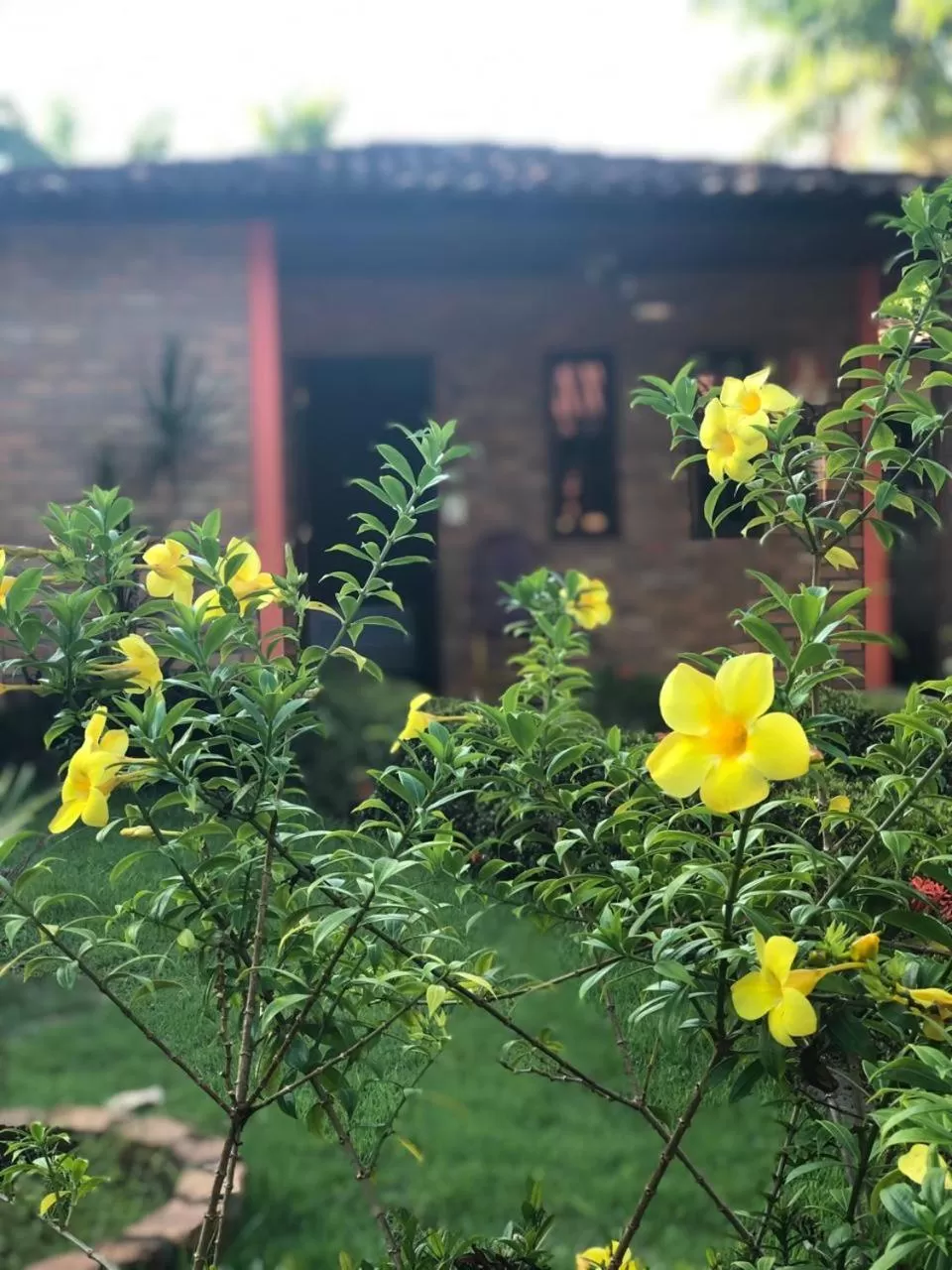 Garden in Pousada do Riacho