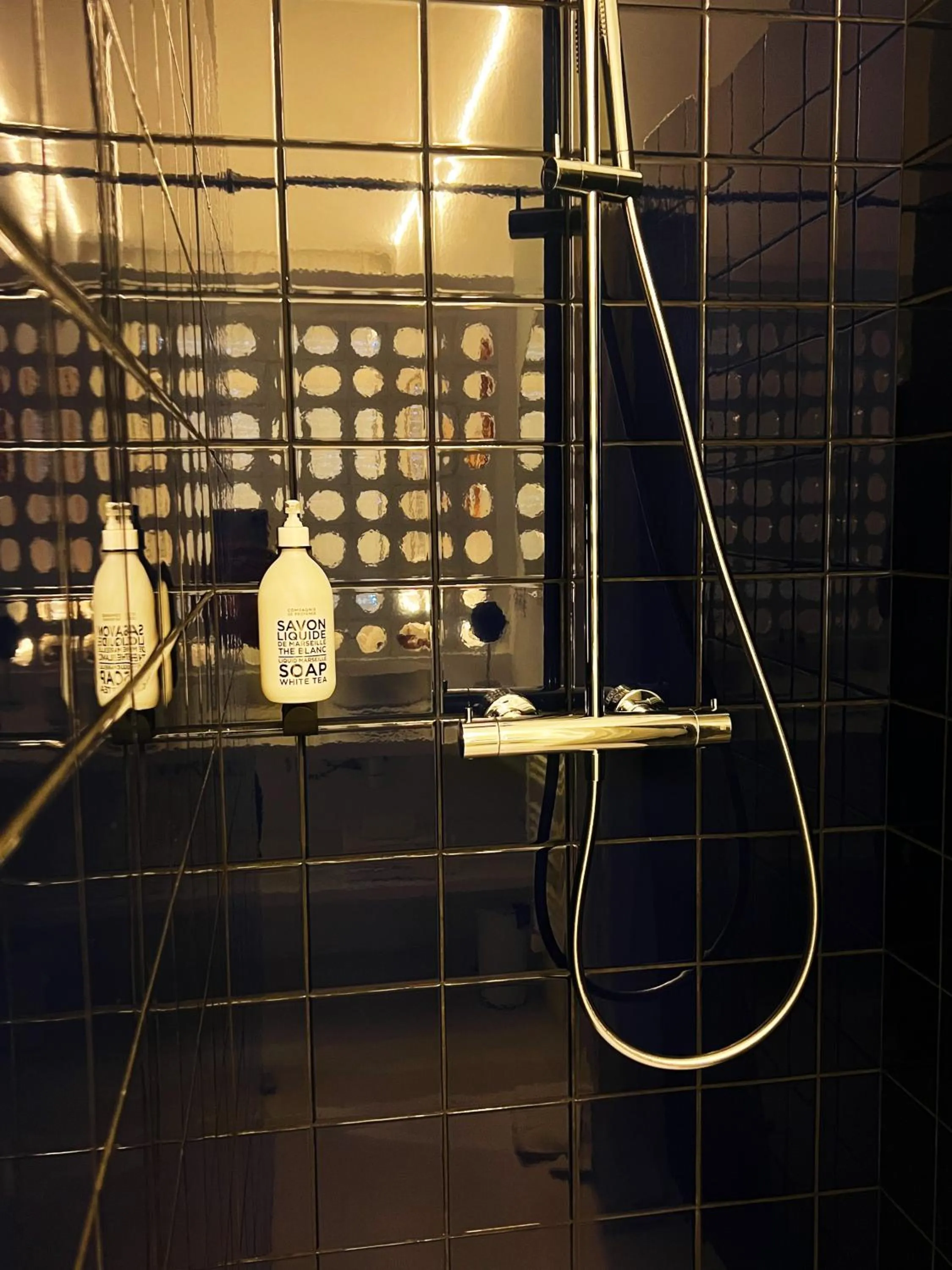 Shower in Hotel La Potiniere