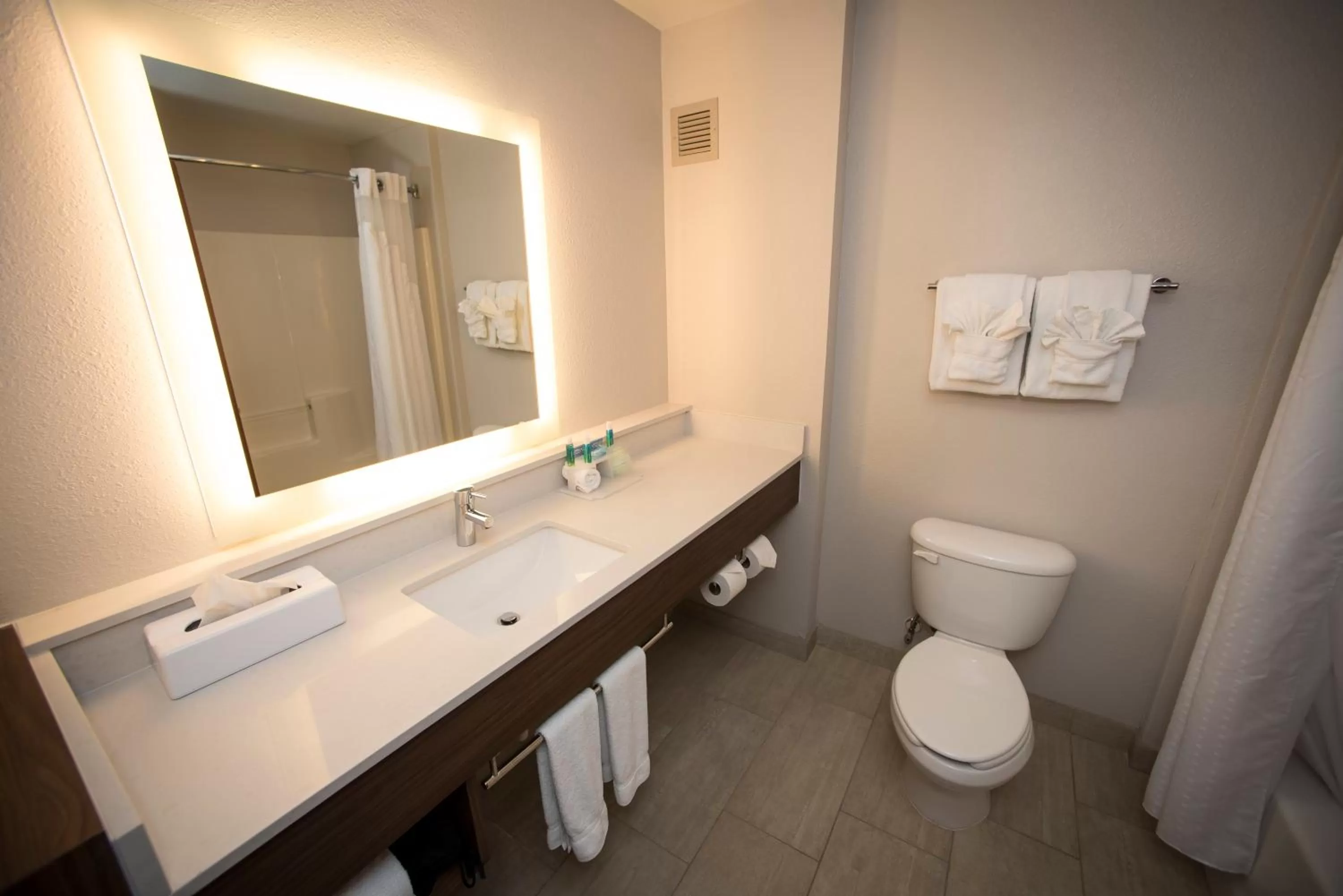 Bathroom in Holiday Inn Express Hotel & Suites Lexington-Downtown University by IHG