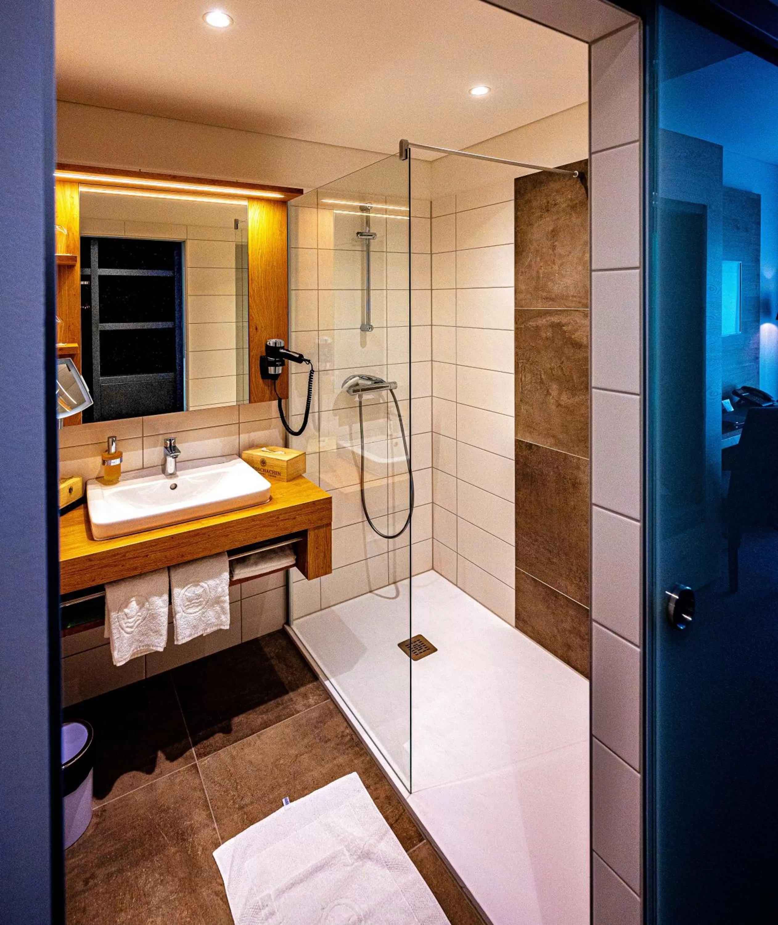 Shower, Bathroom in Hotel Hausschachen