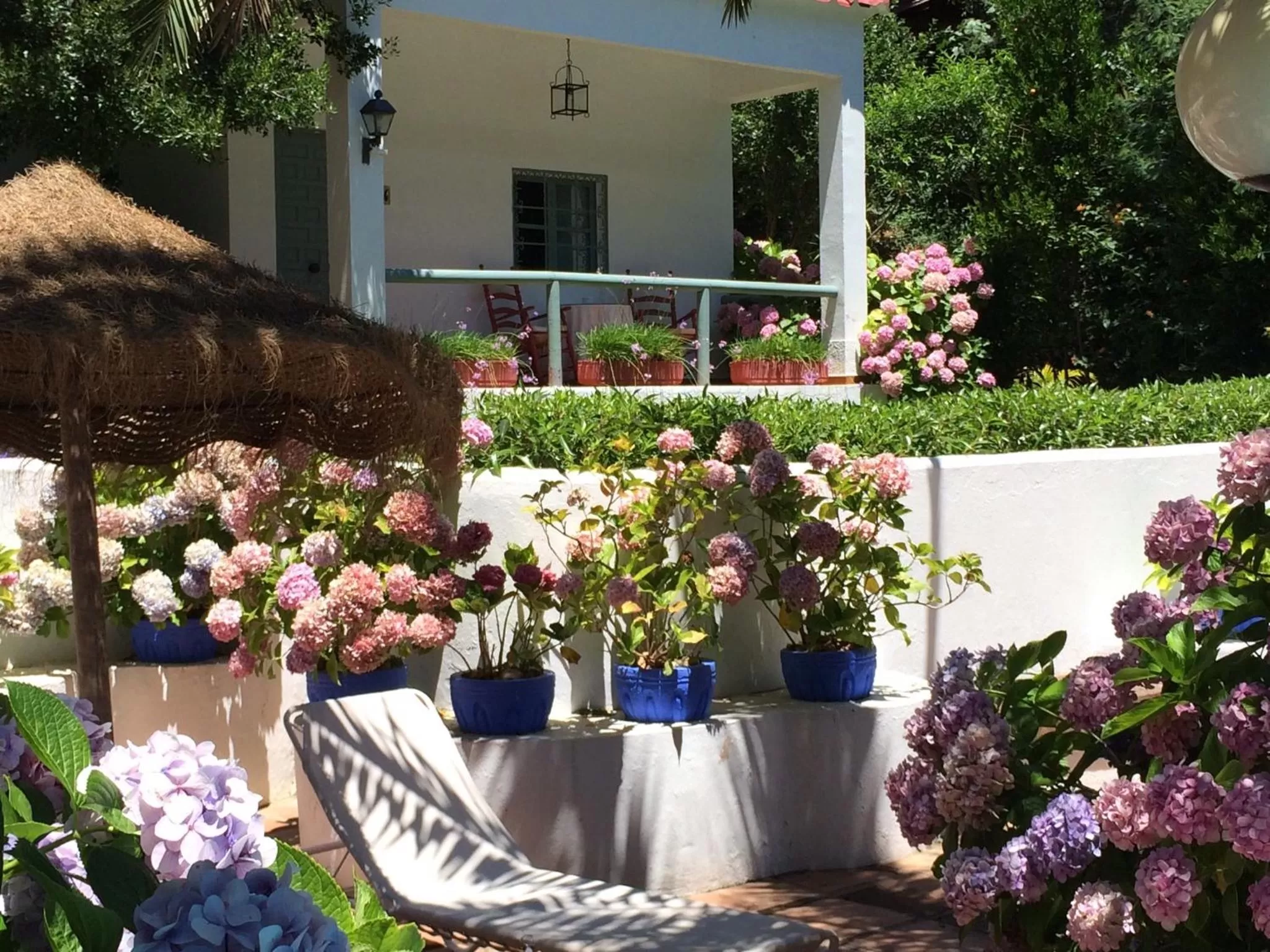 Garden in Mesón de Sancho