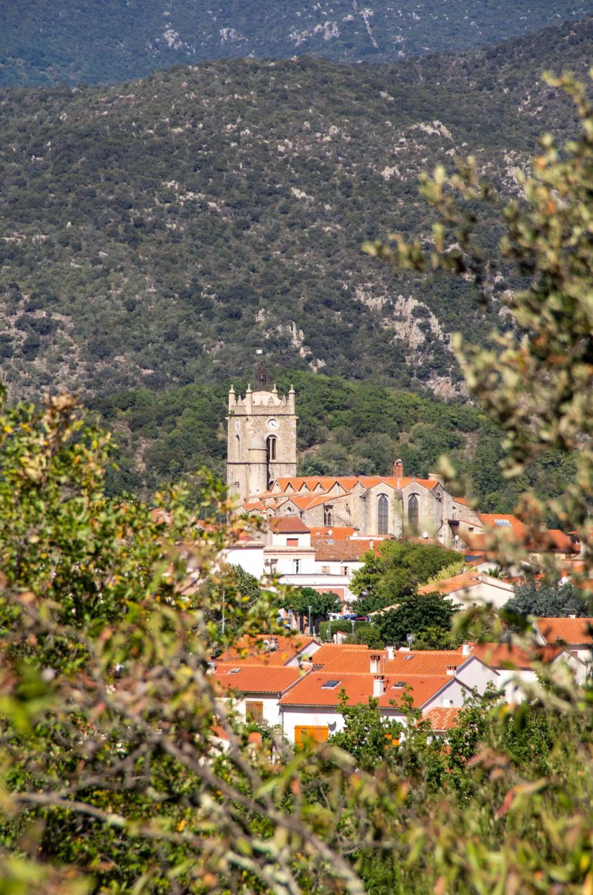 La Perle des Montagnes - Bed and breakfast - Chambre d hôte