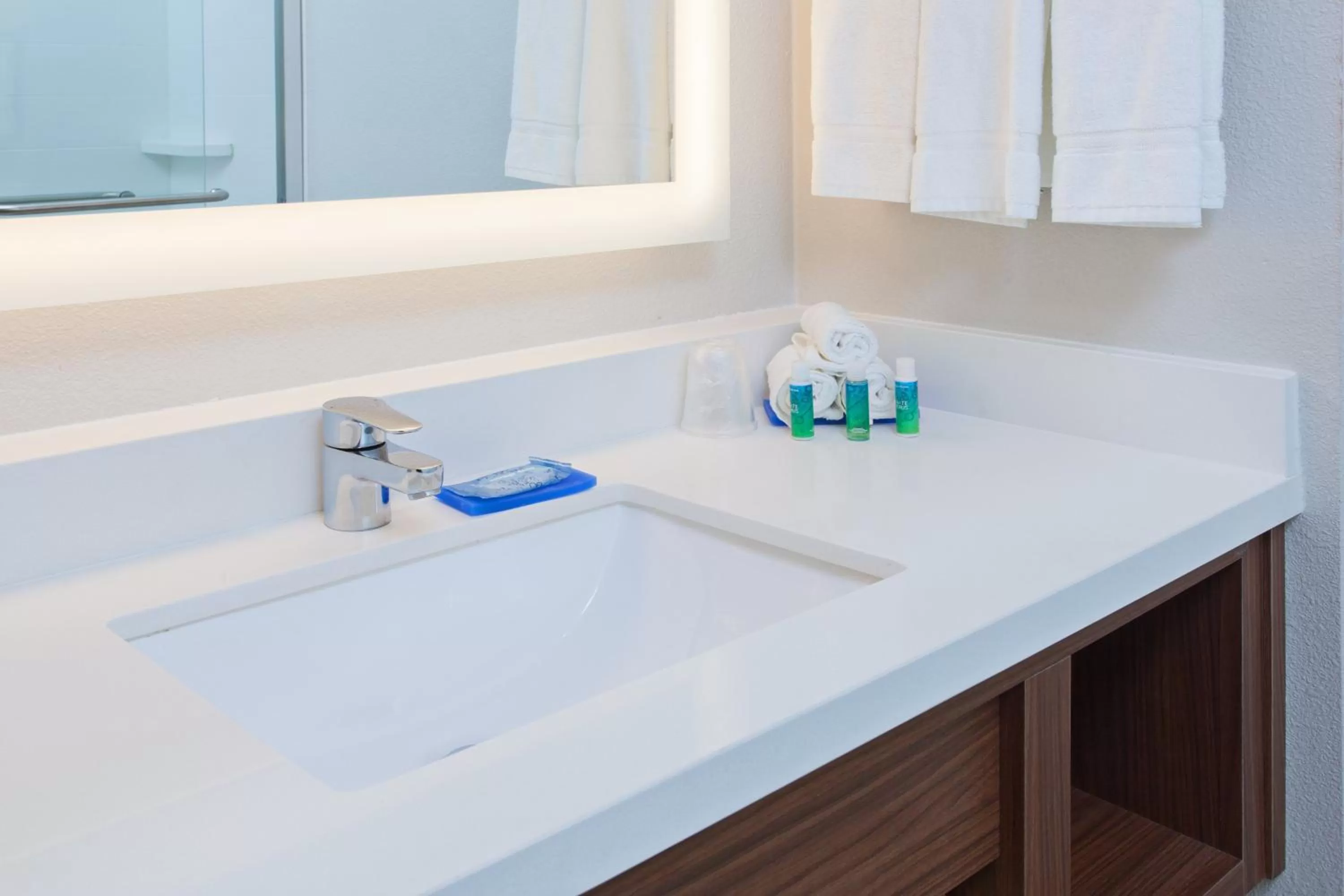 Bathroom in Holiday Inn Express Mira Mesa San Diego by IHG