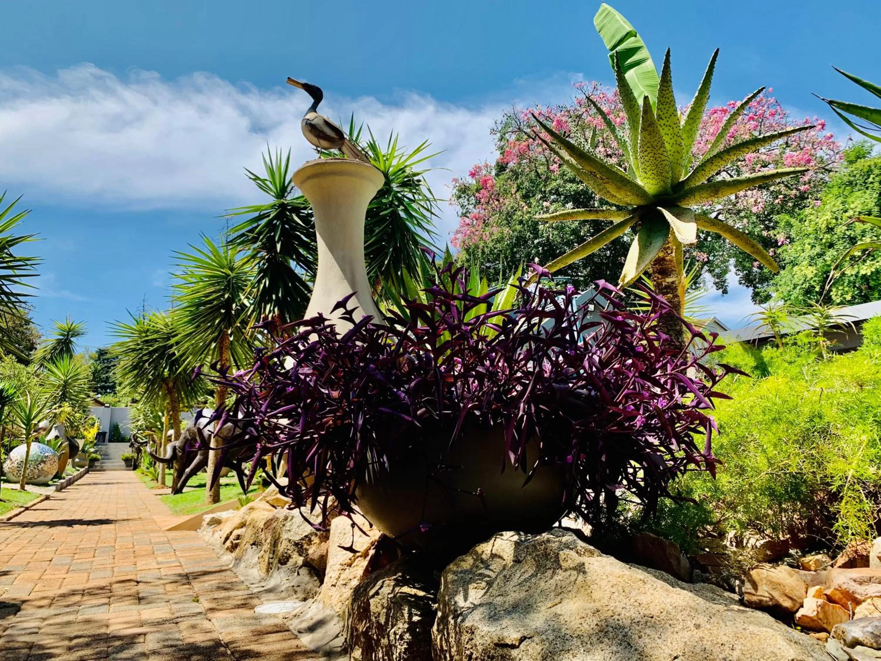 Other Animals in 24 On Basil Inventive suites