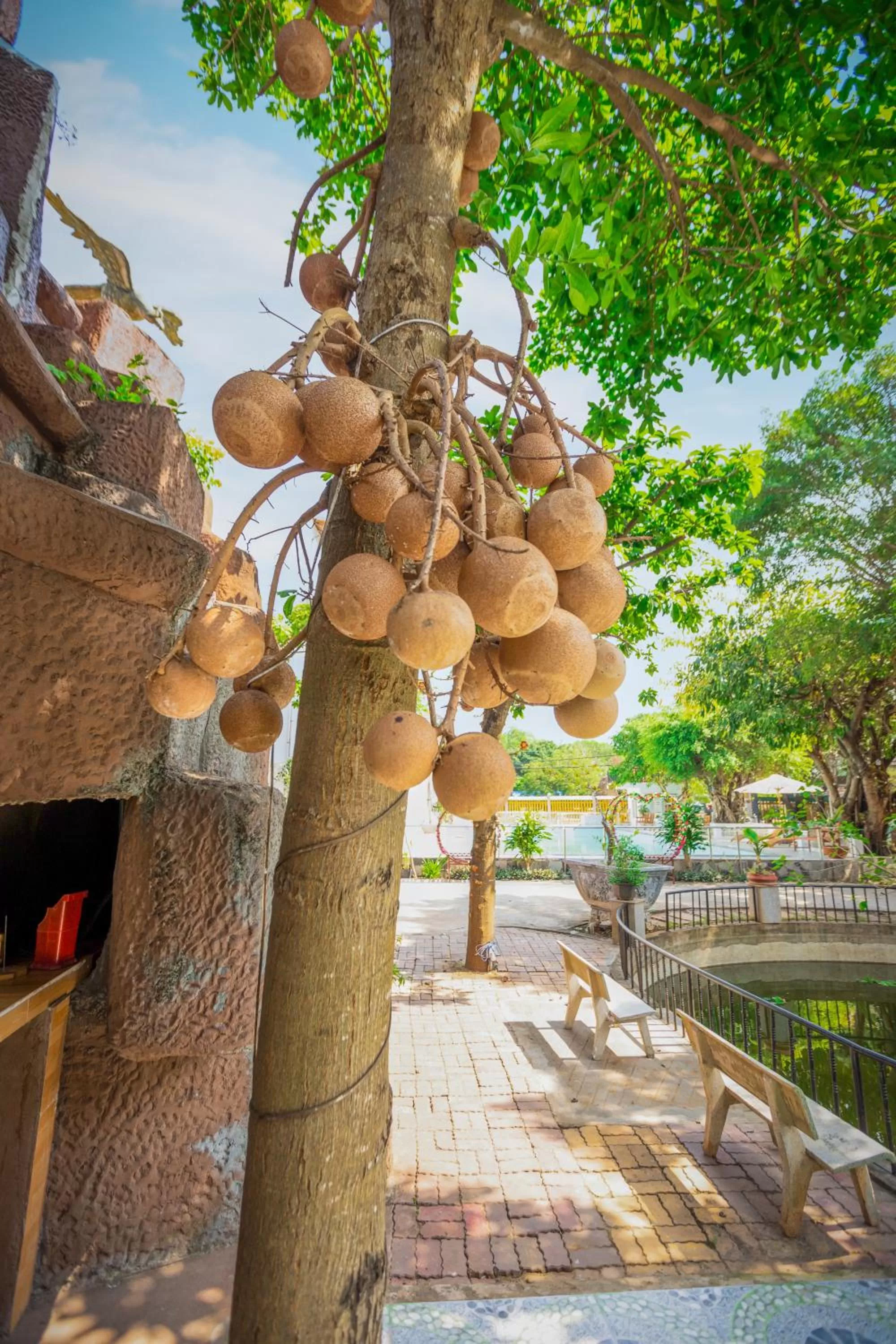 Property building in Caroline Resort